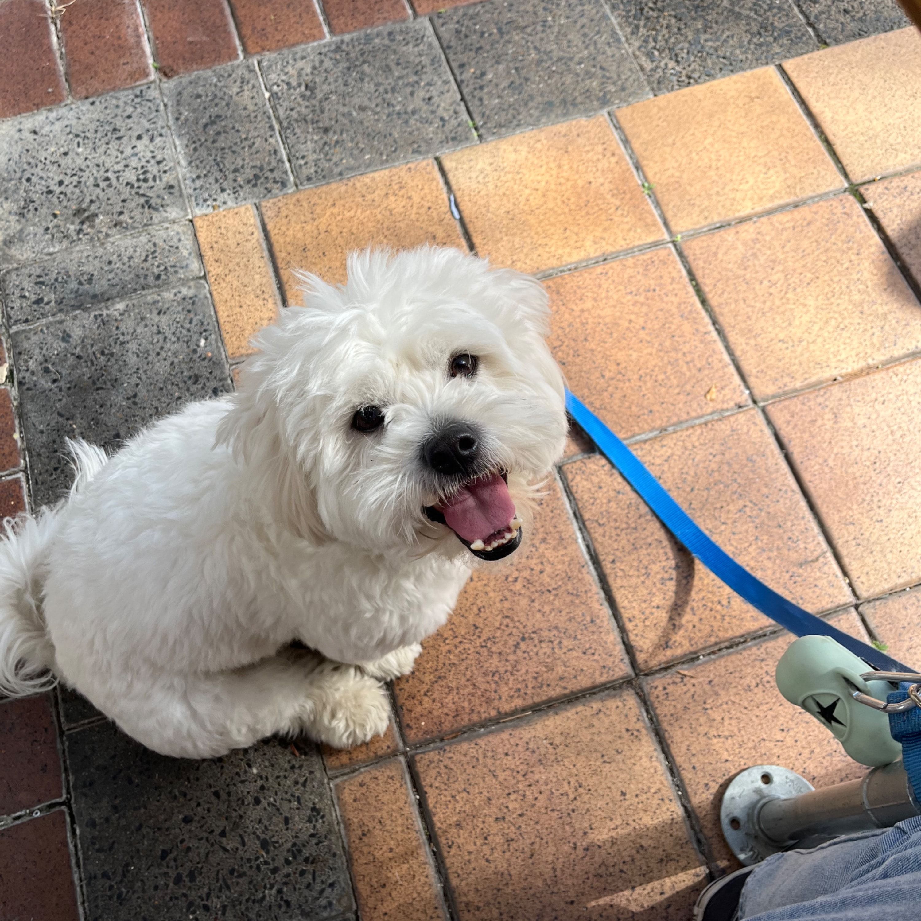 Winston
