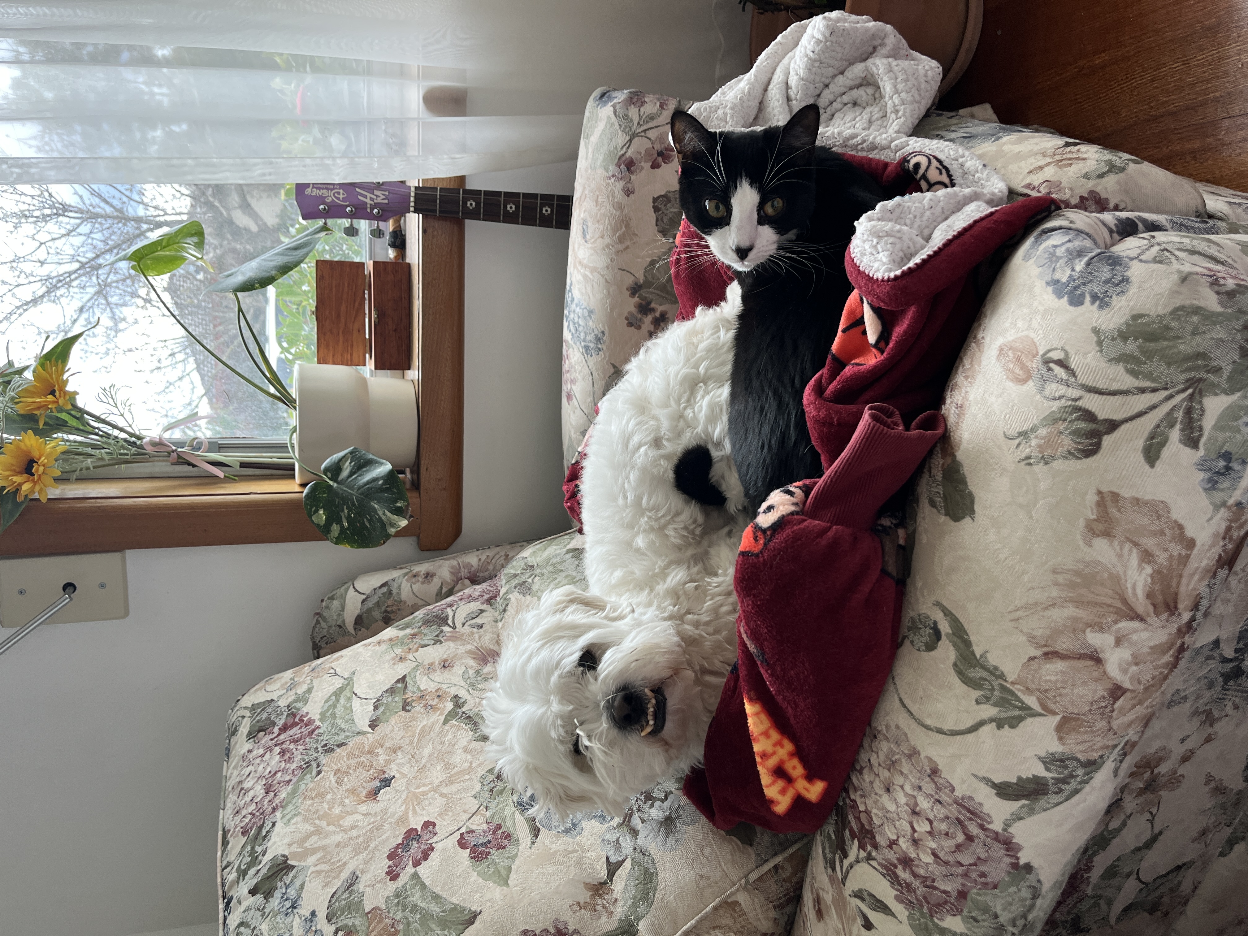 image-9