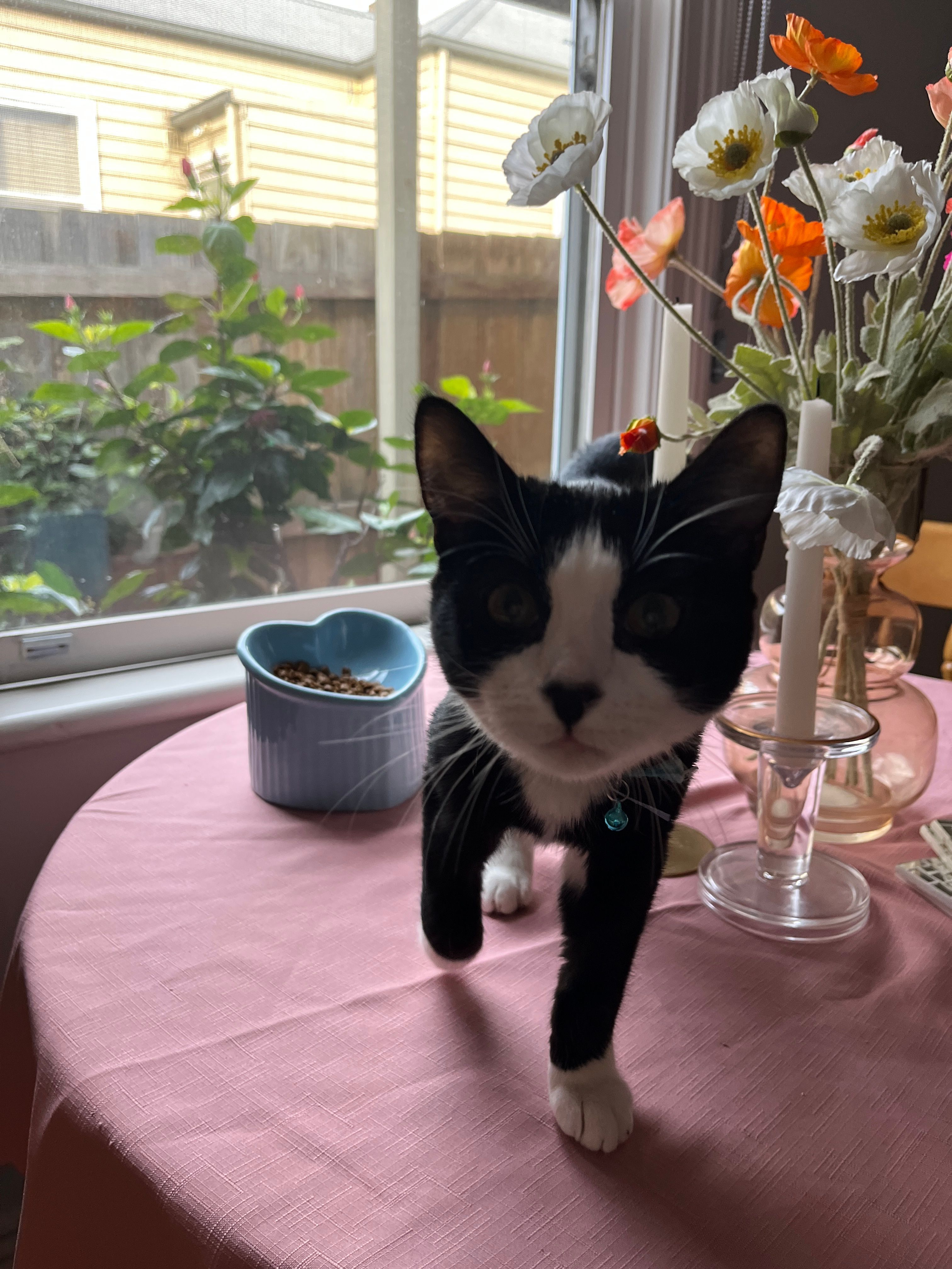 image-11