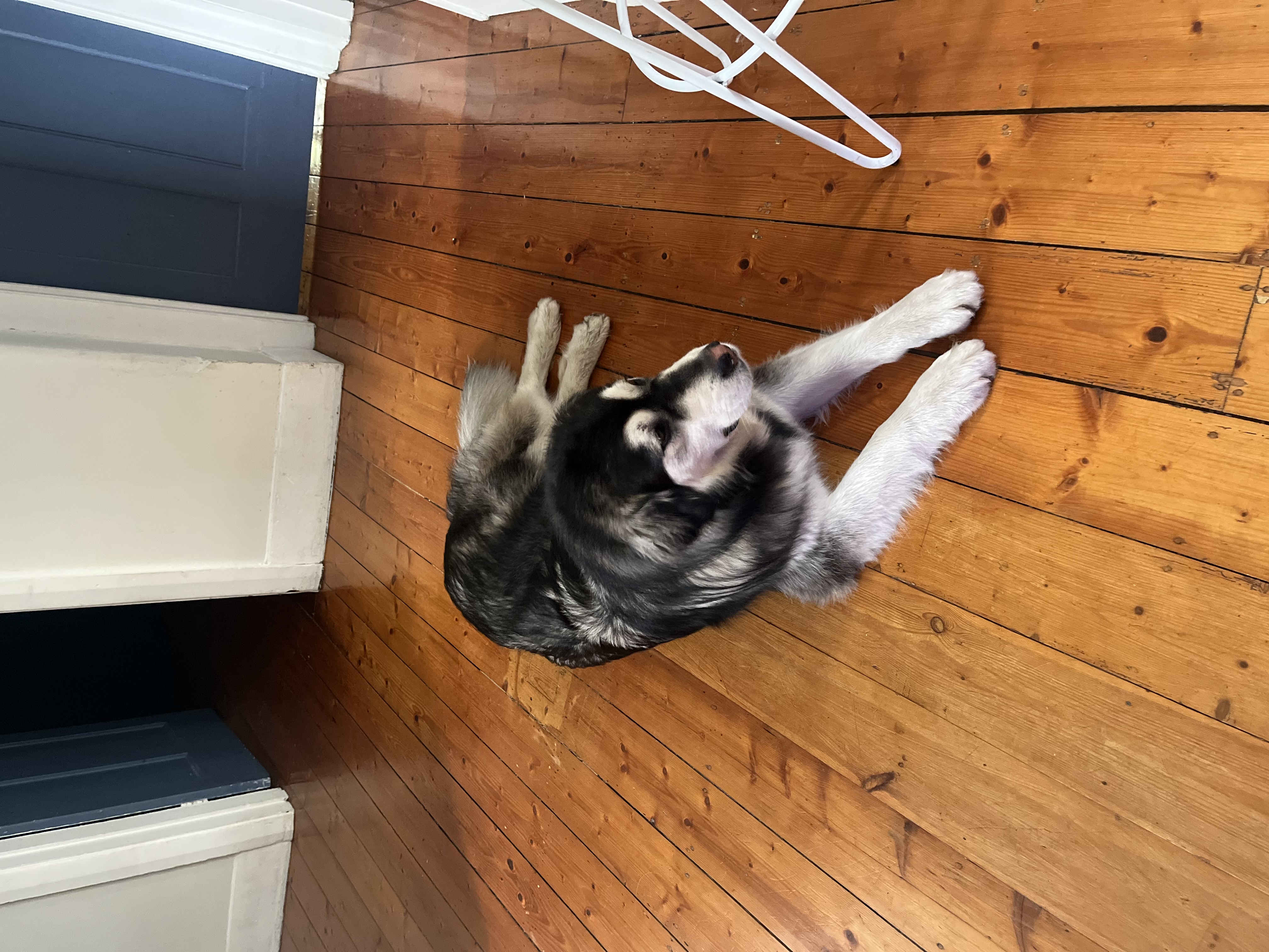 image-6