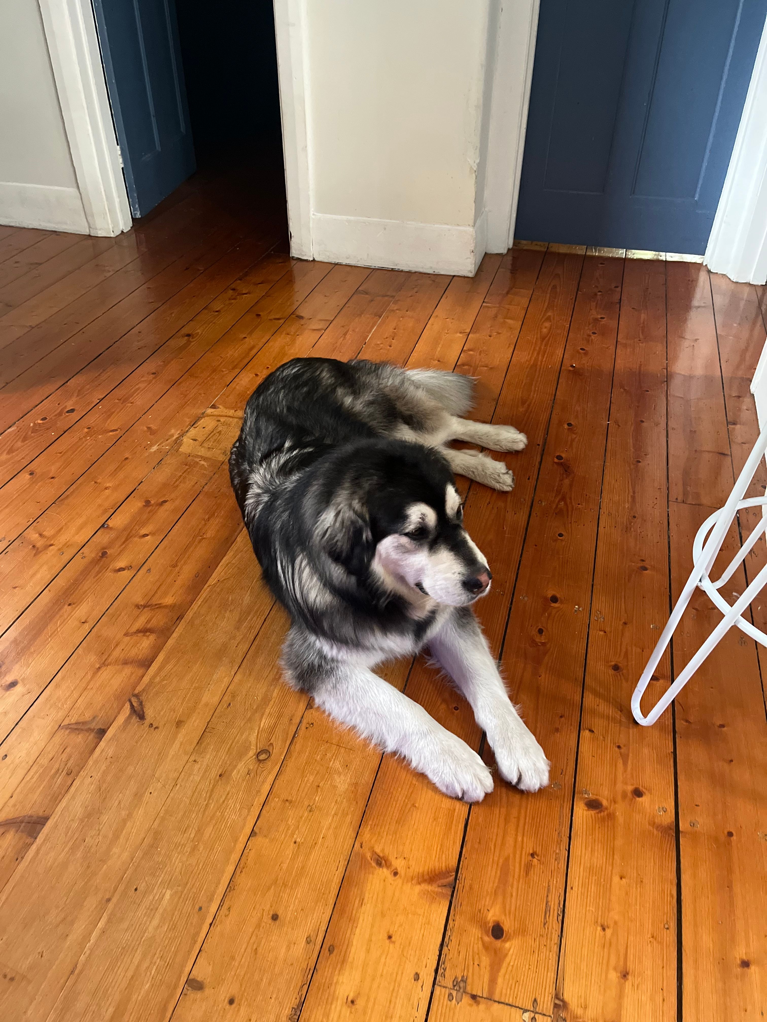 image-6