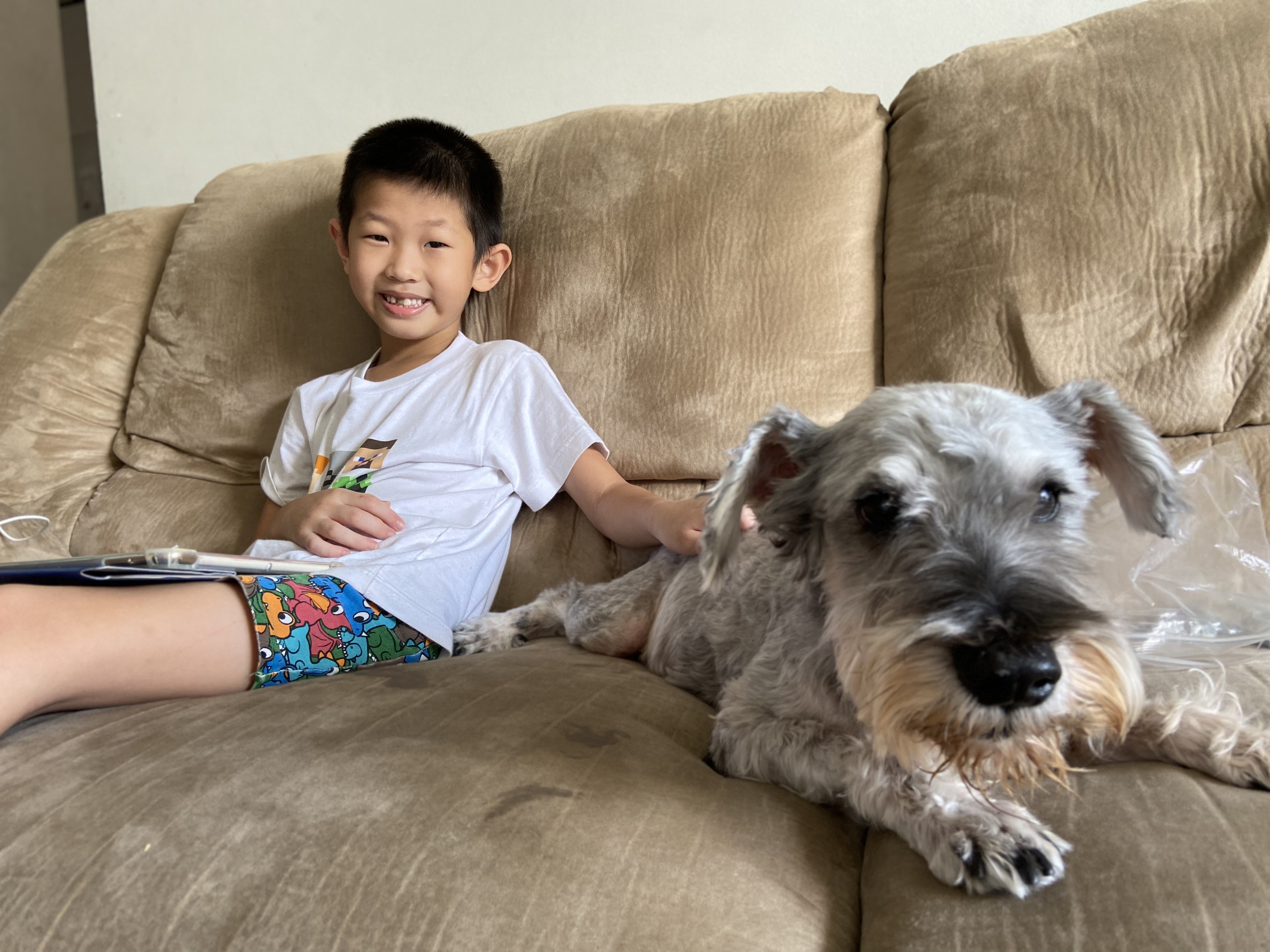 image-10