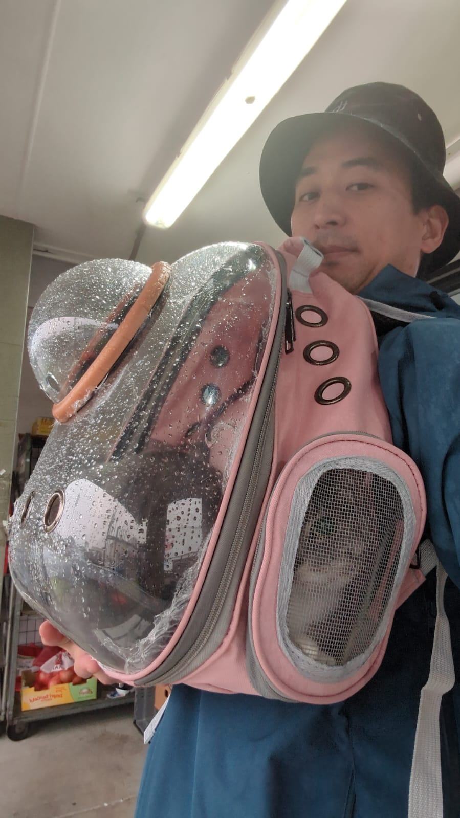 image-5
