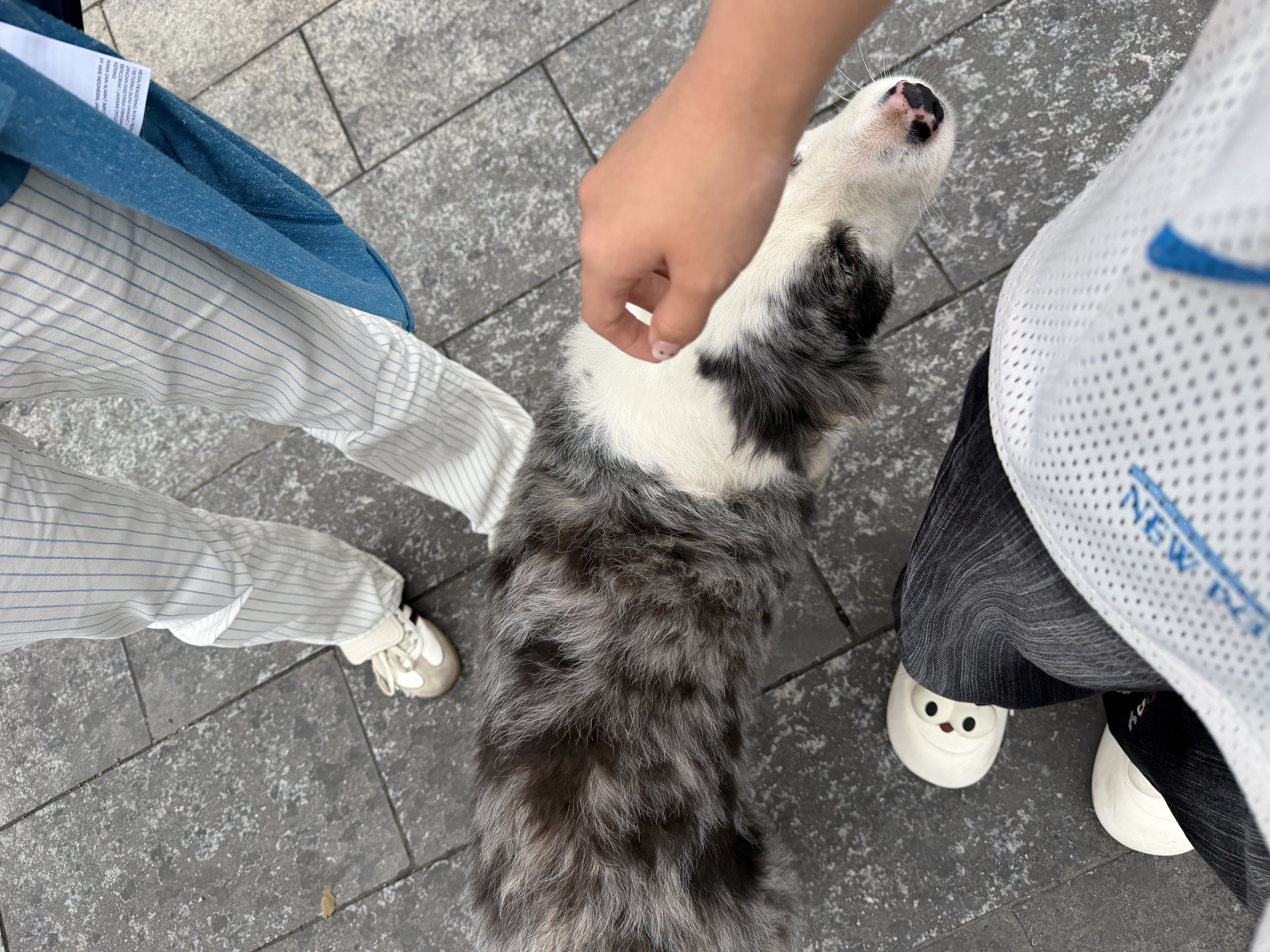 image-14