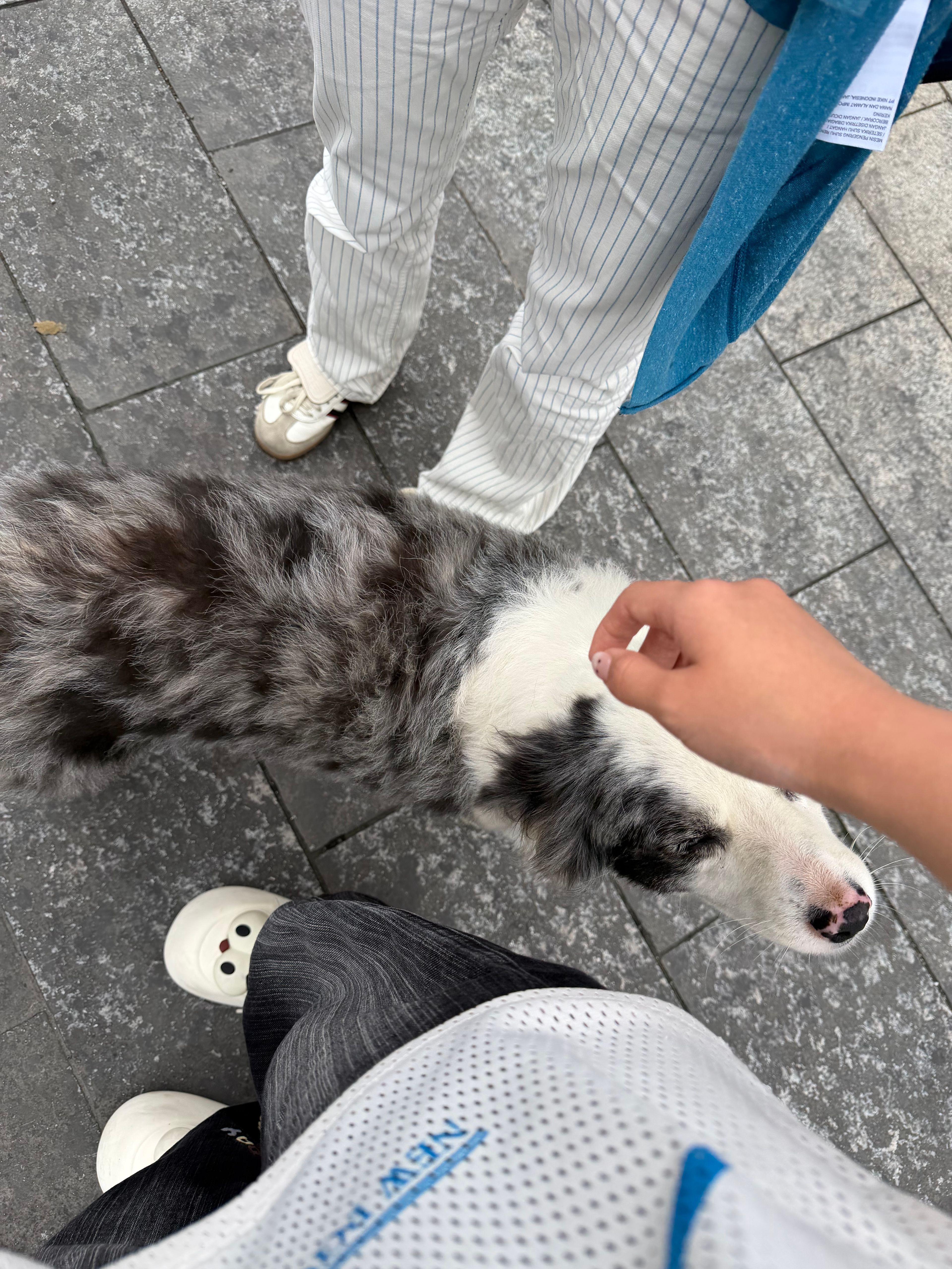 image-14