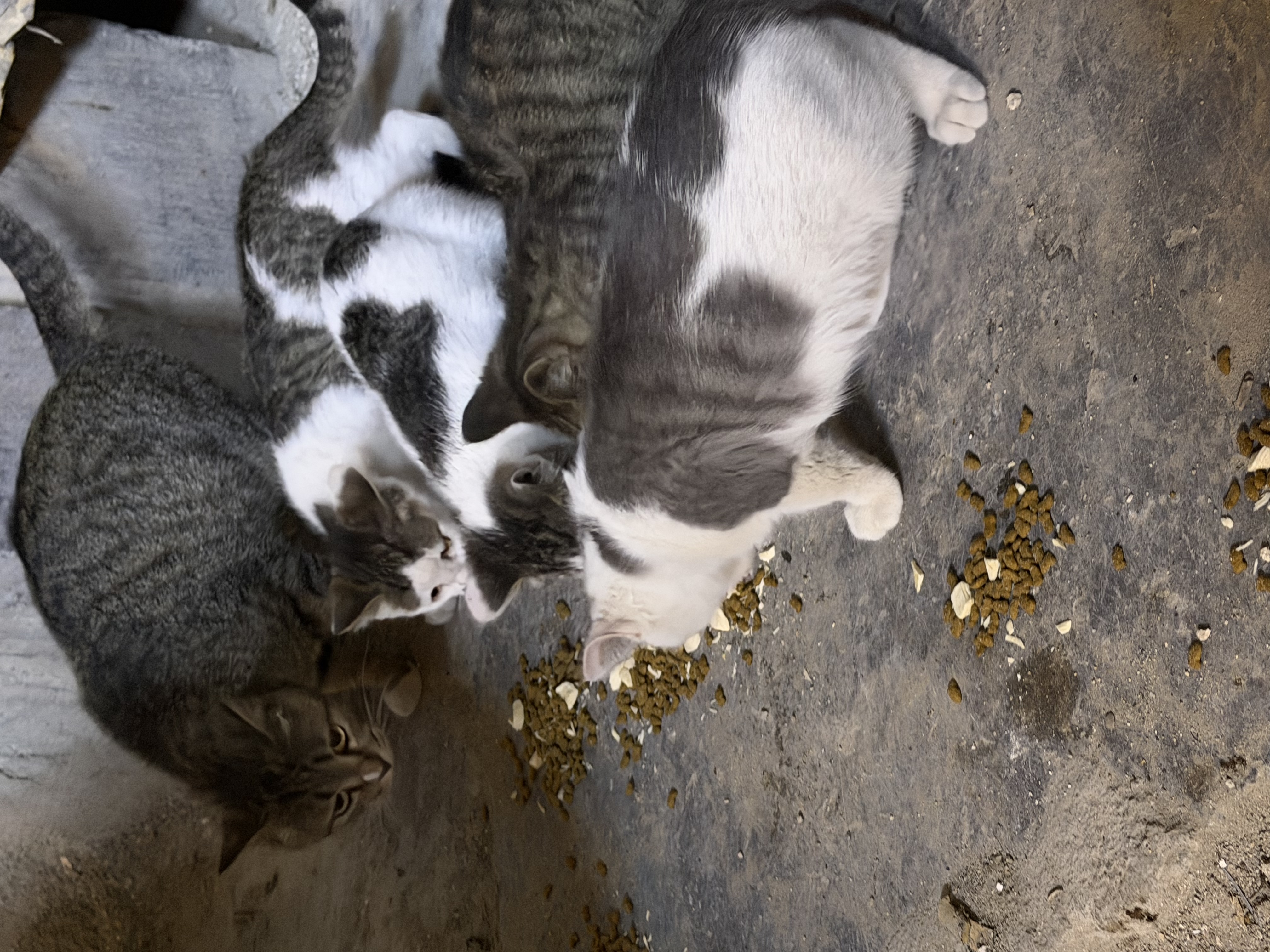 image-12