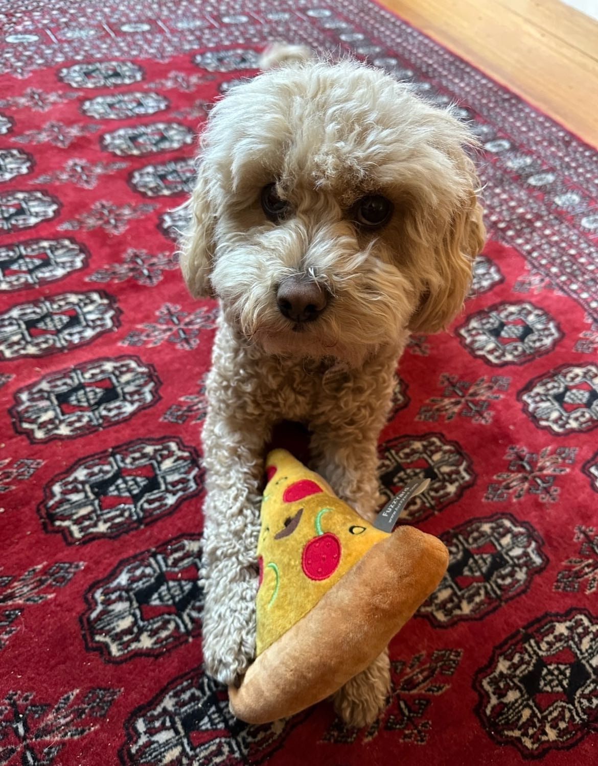 image-8