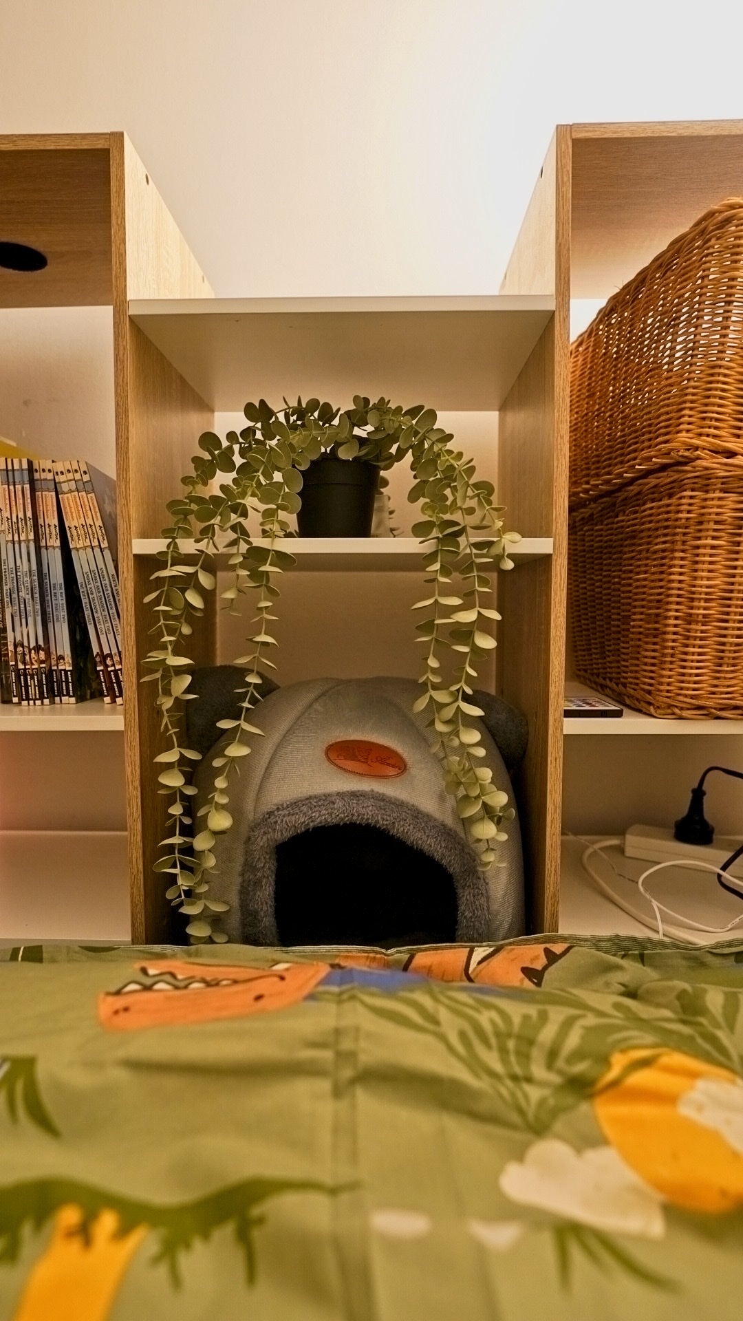 image-14