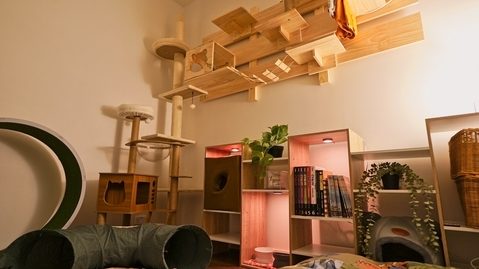 image-13