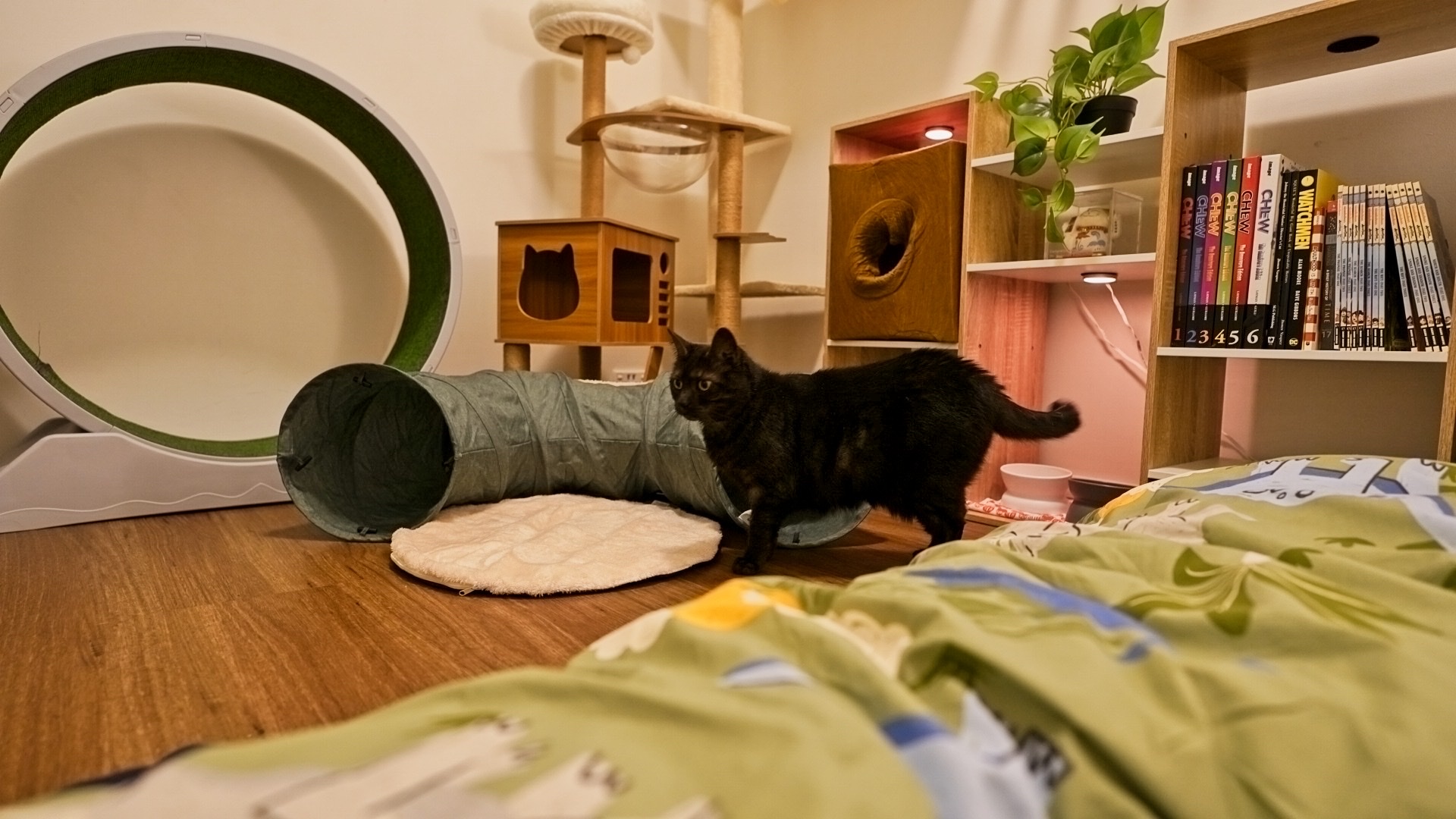 image-12