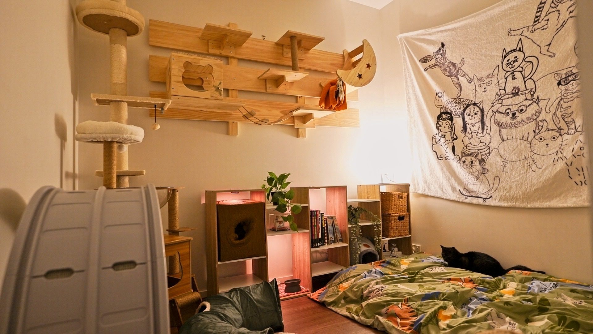 image-10