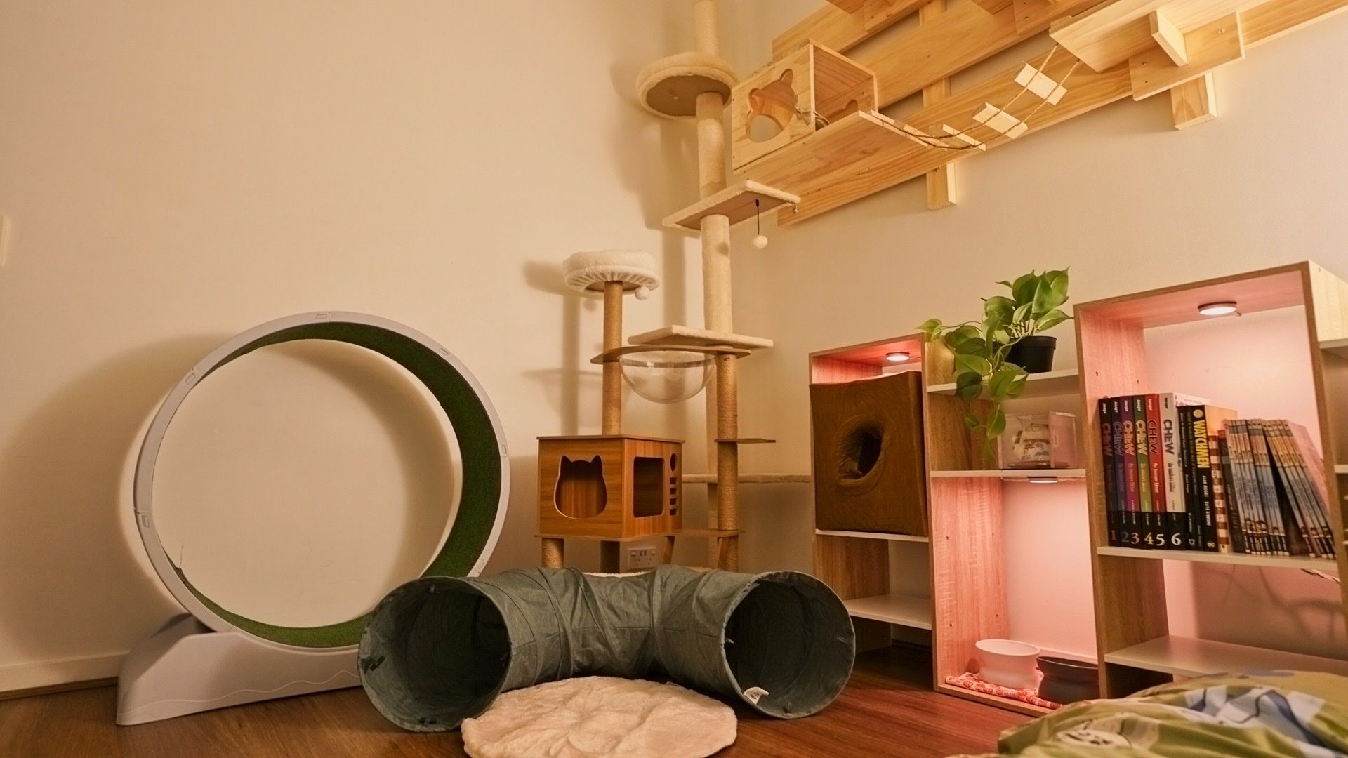 image-11