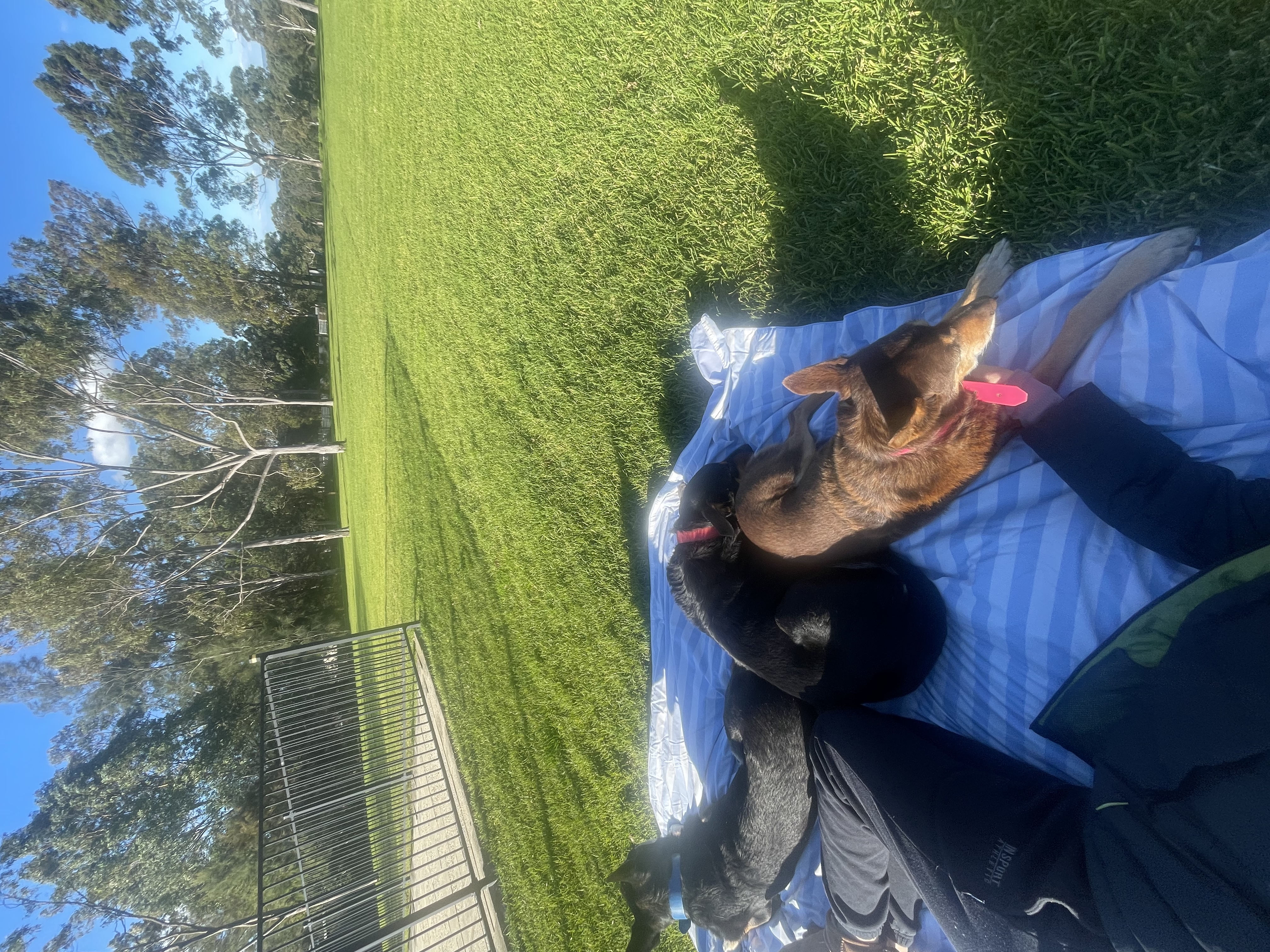 image-8