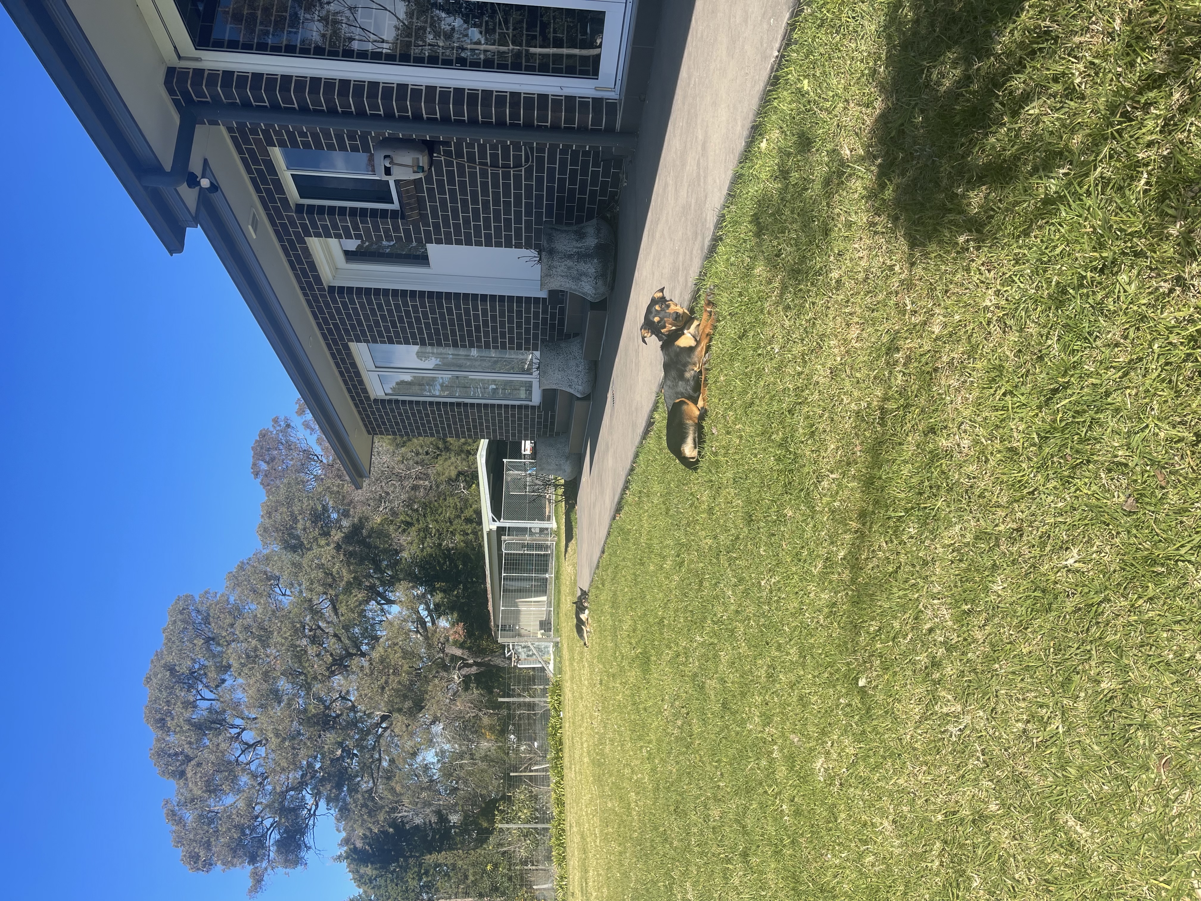 image-17