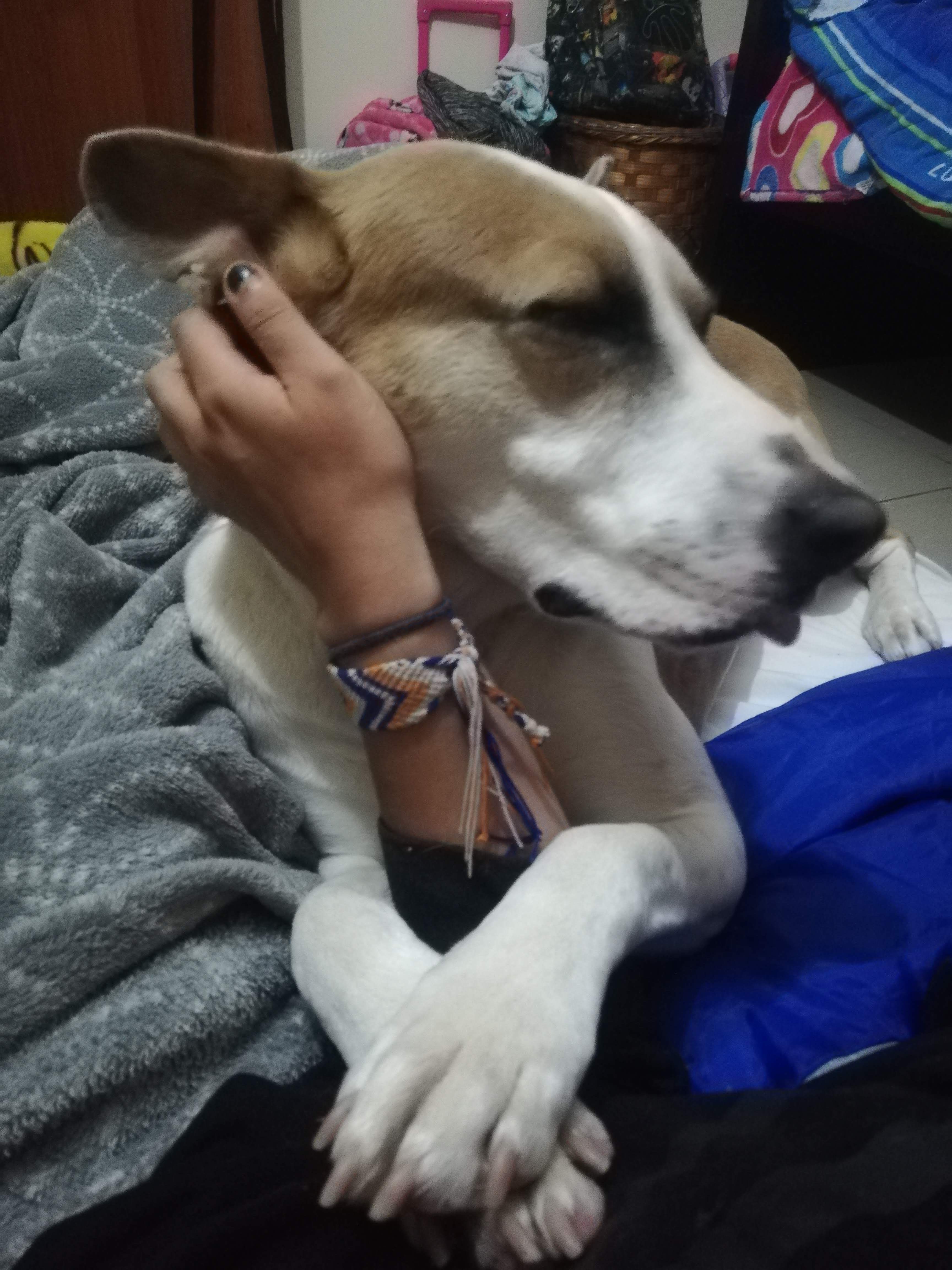 image-7