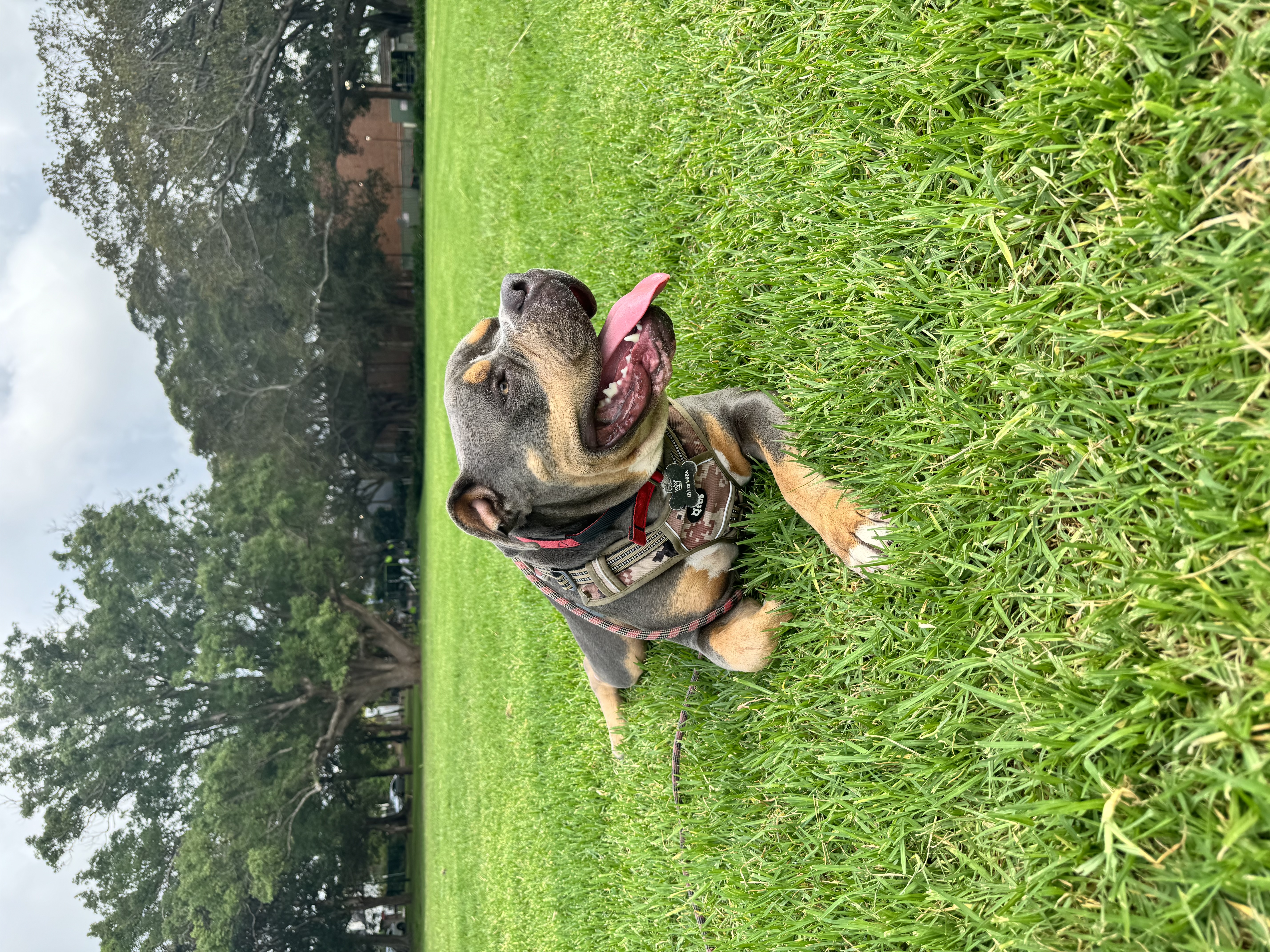 image-15