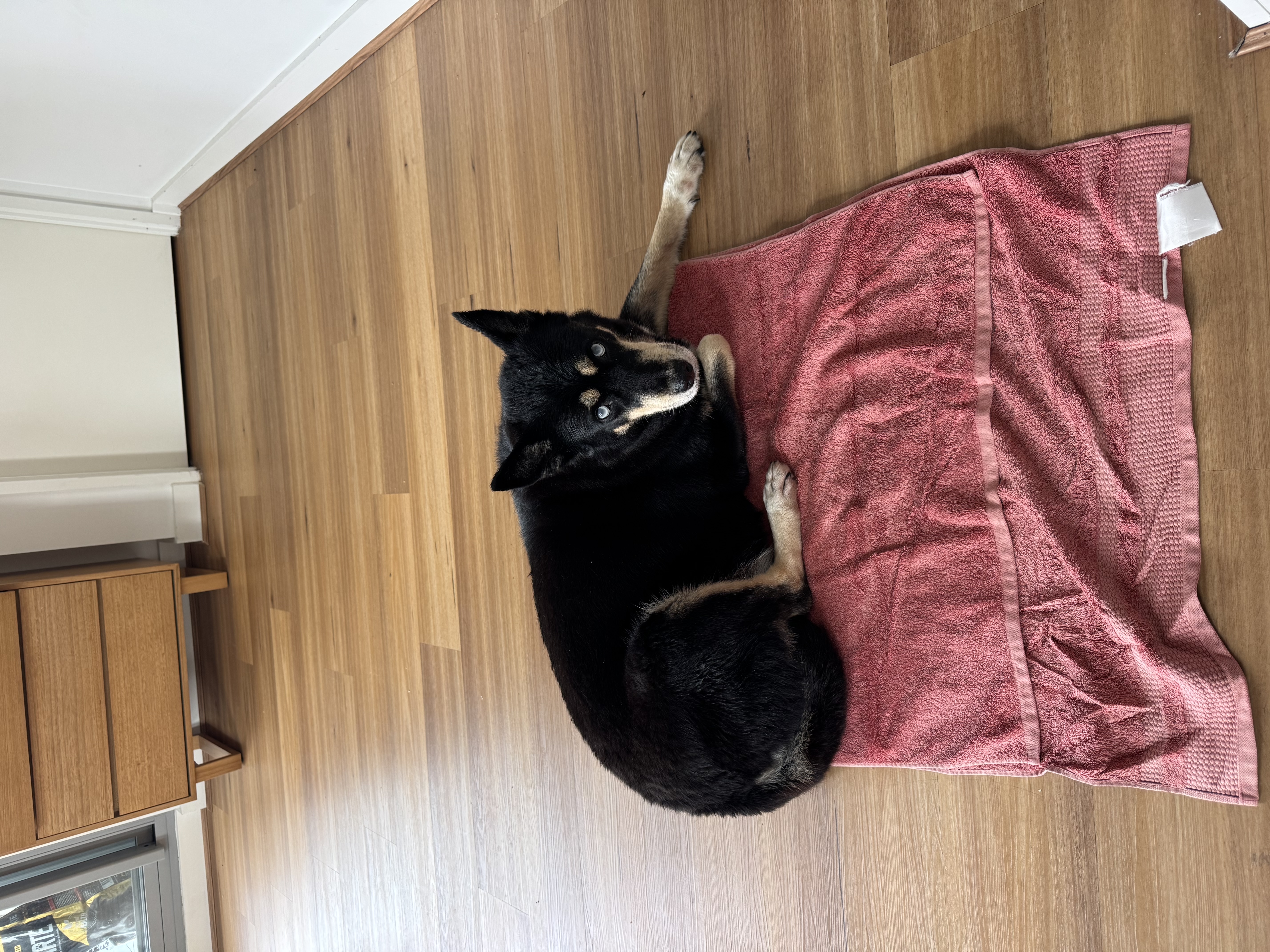 image-11