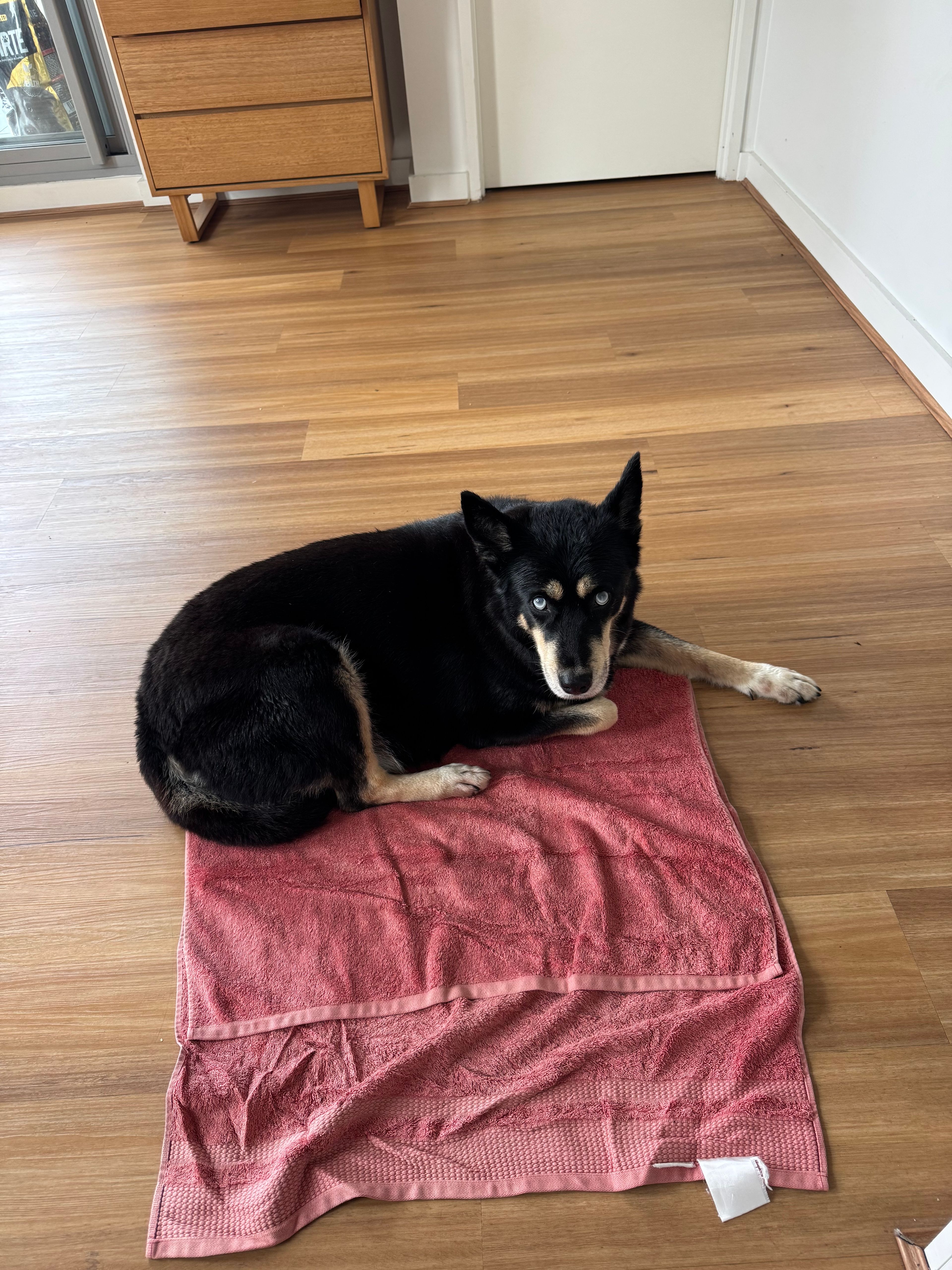 image-11