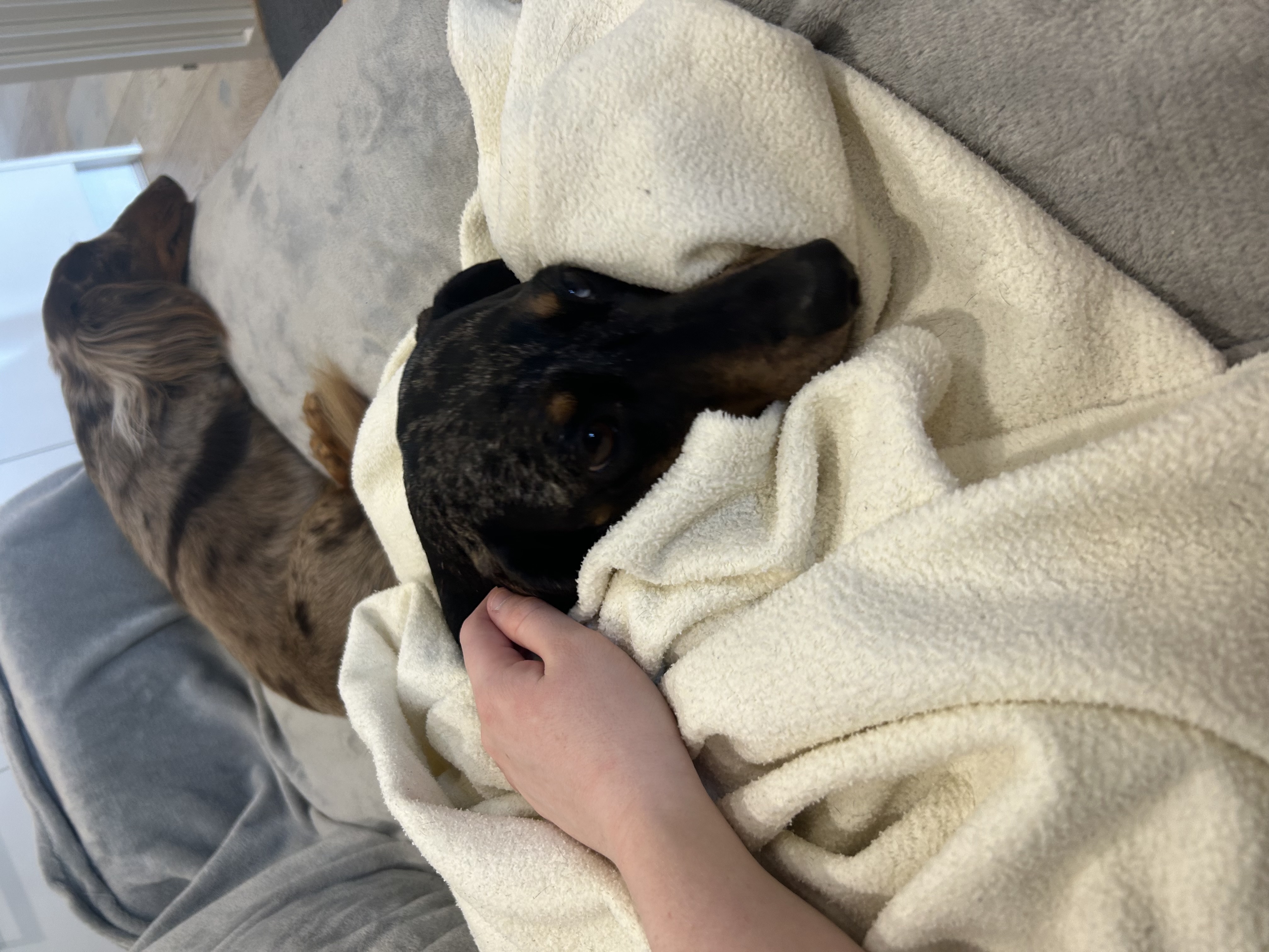 image-7