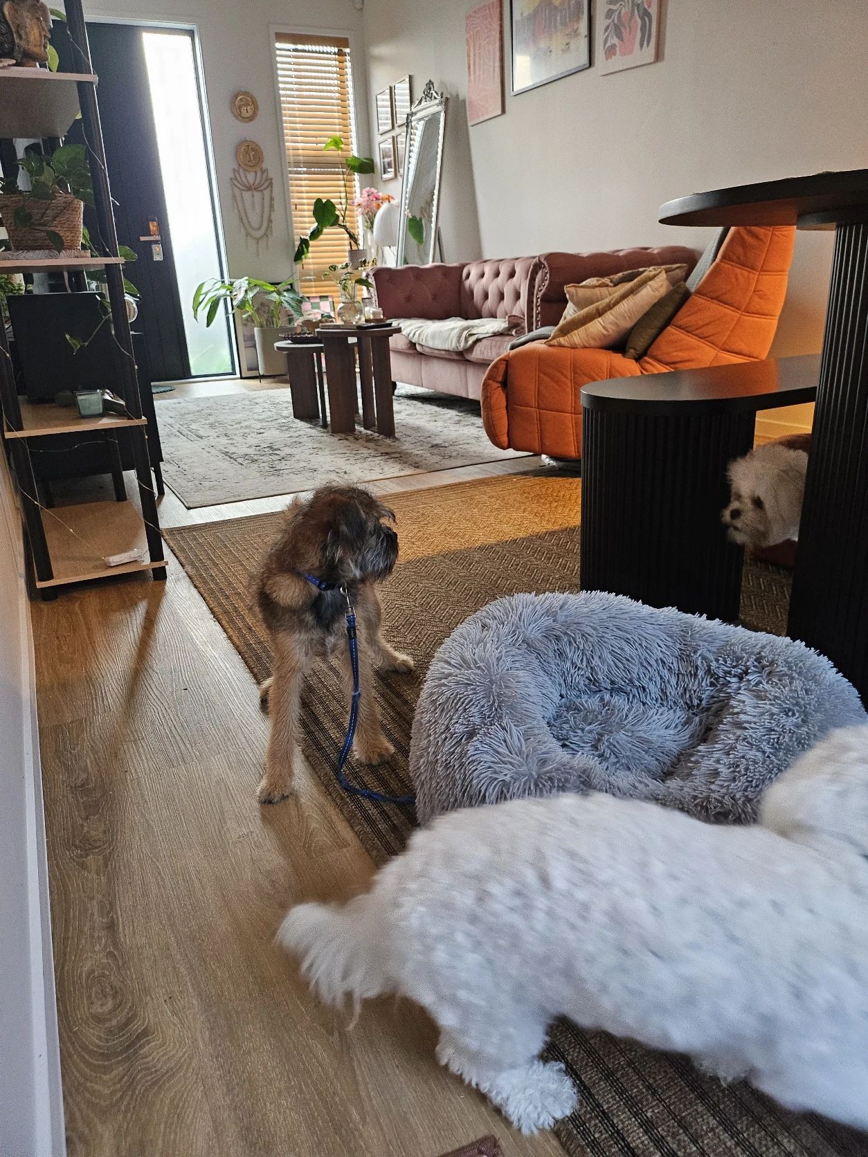 image-42