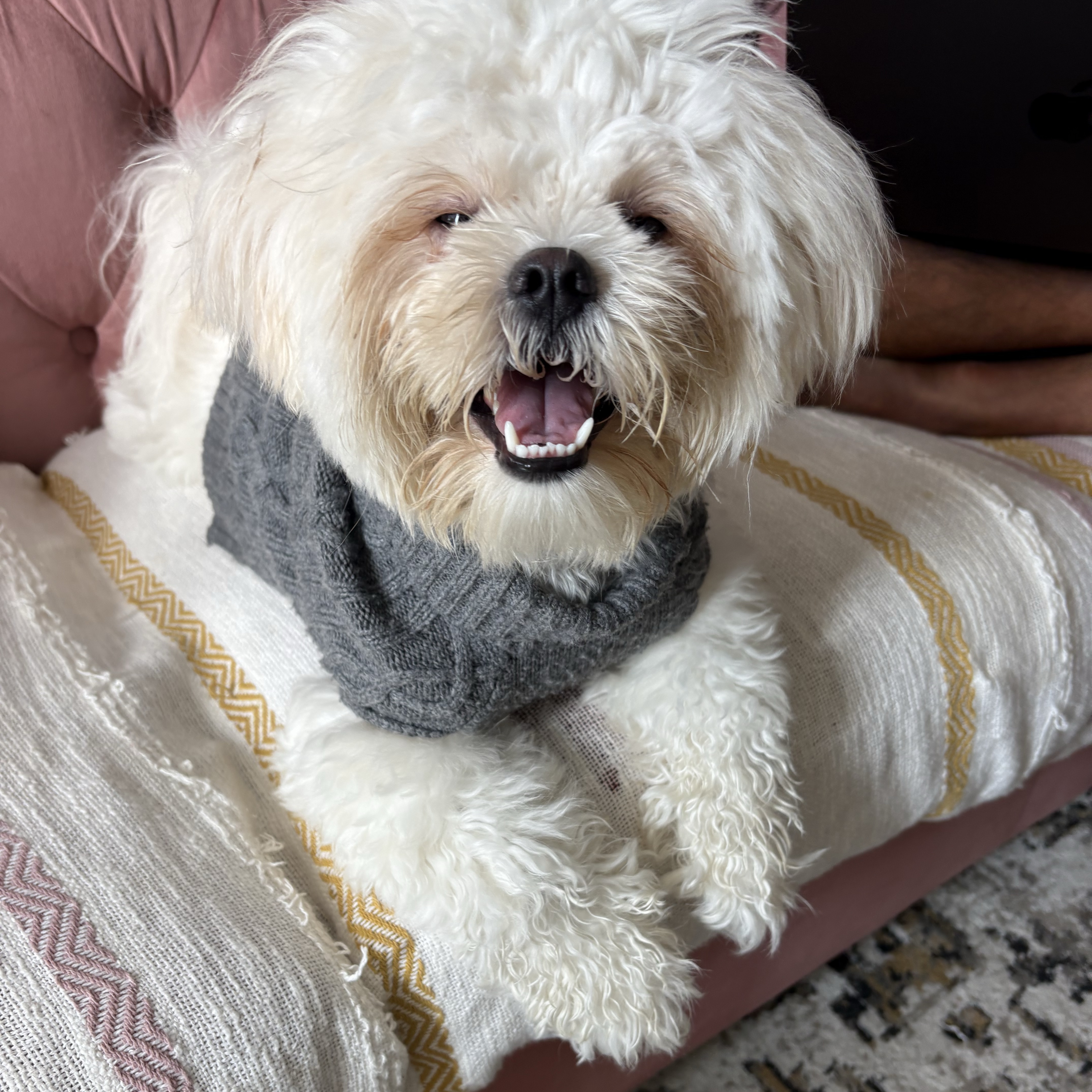 Lola 