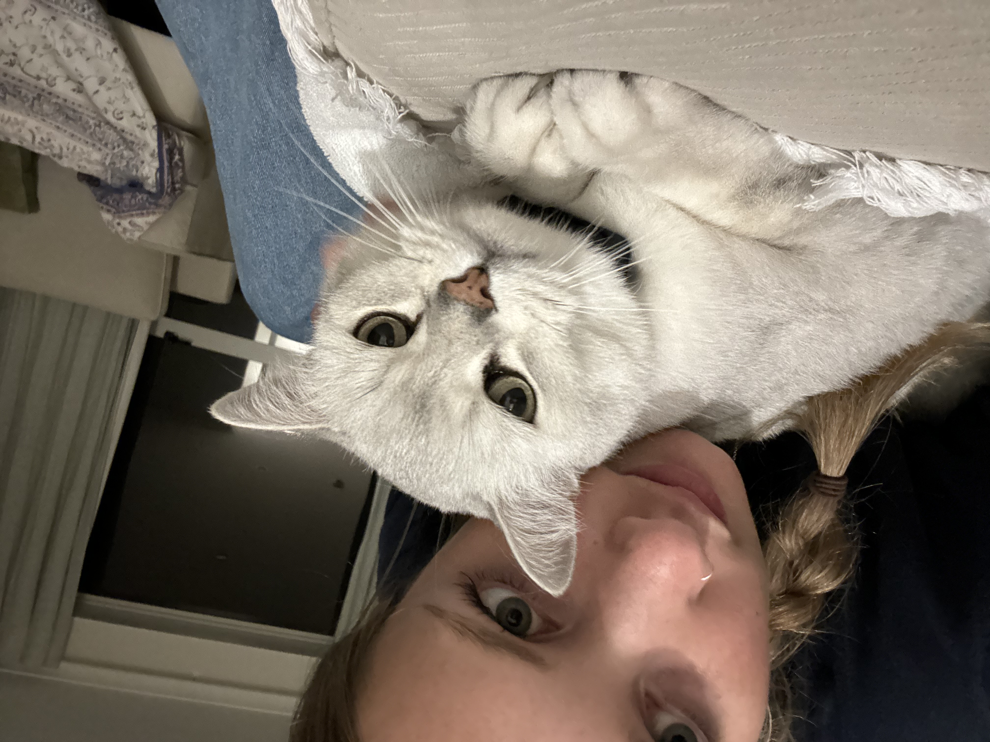 image-6