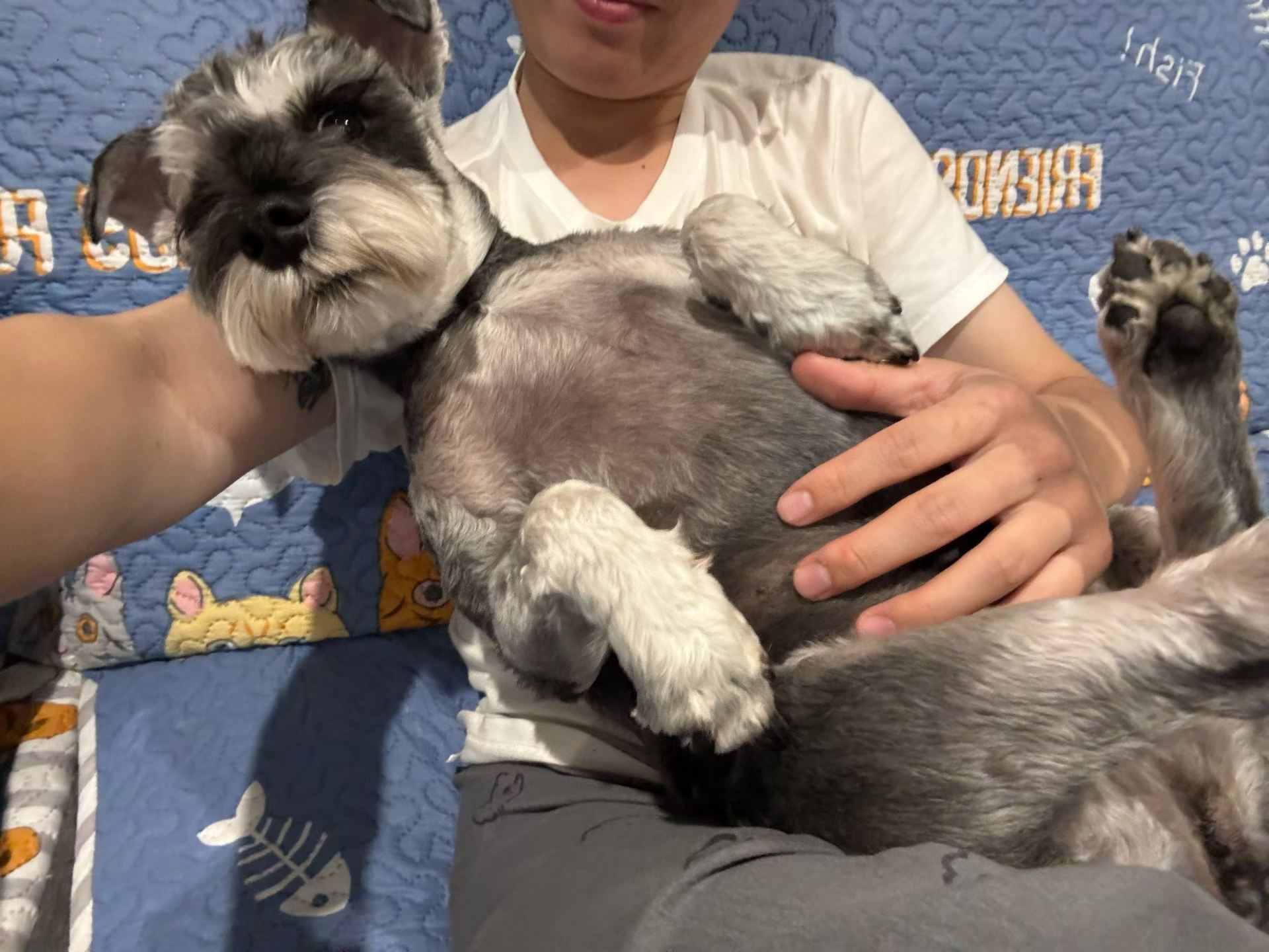 image-17