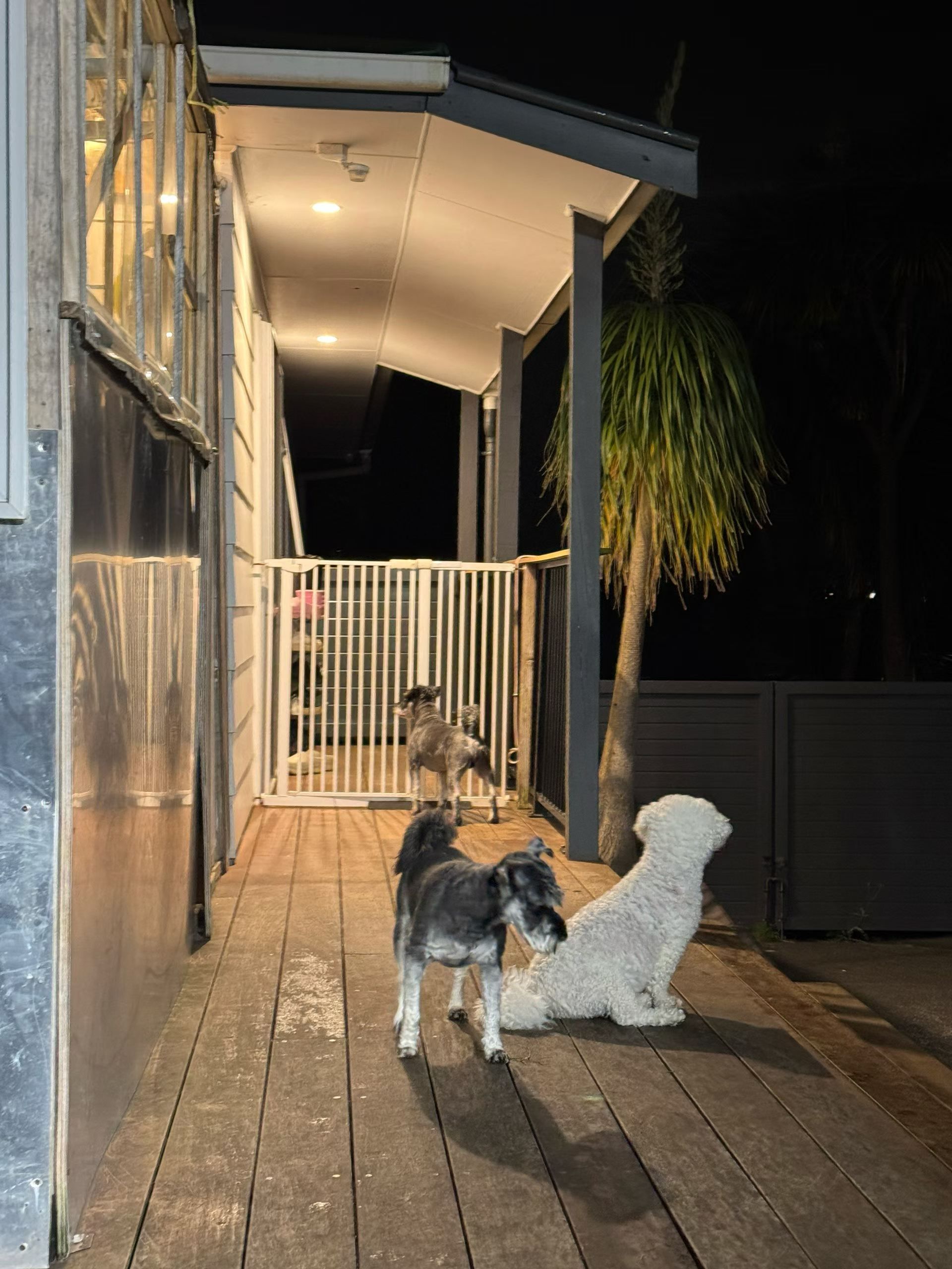 image-19