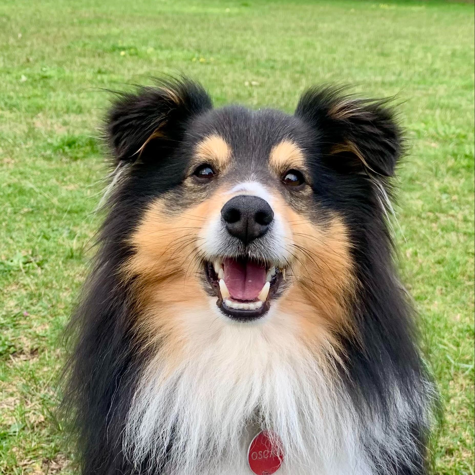 Oscar
