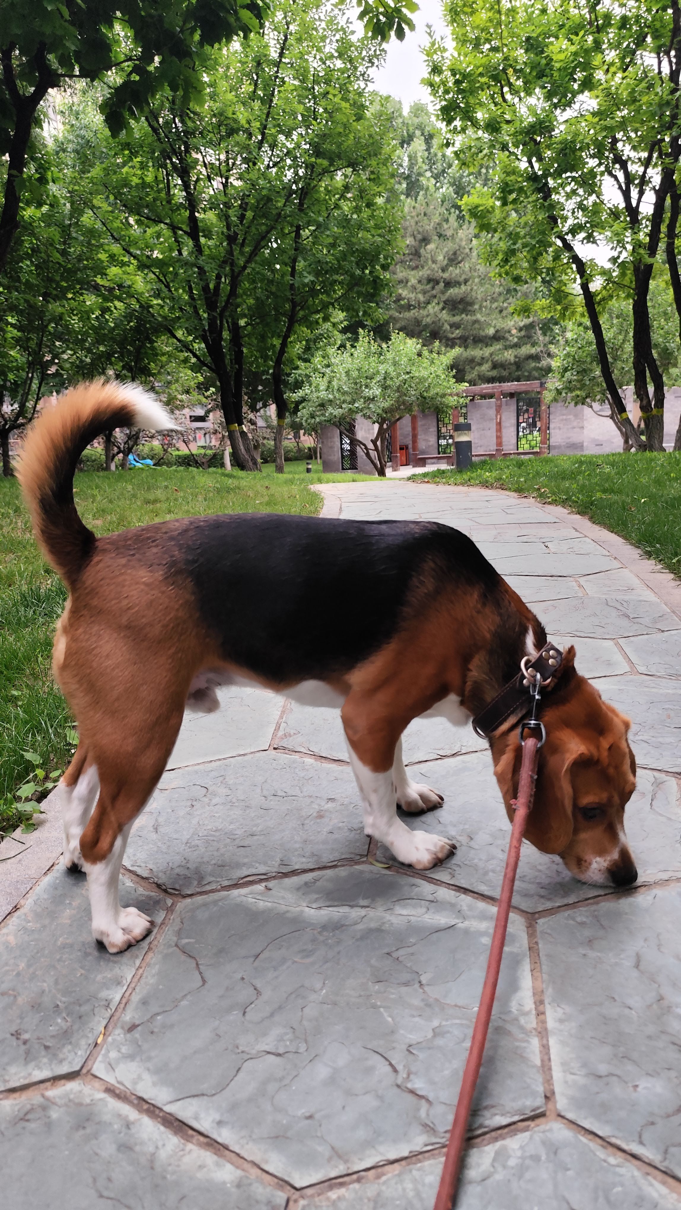 image-9