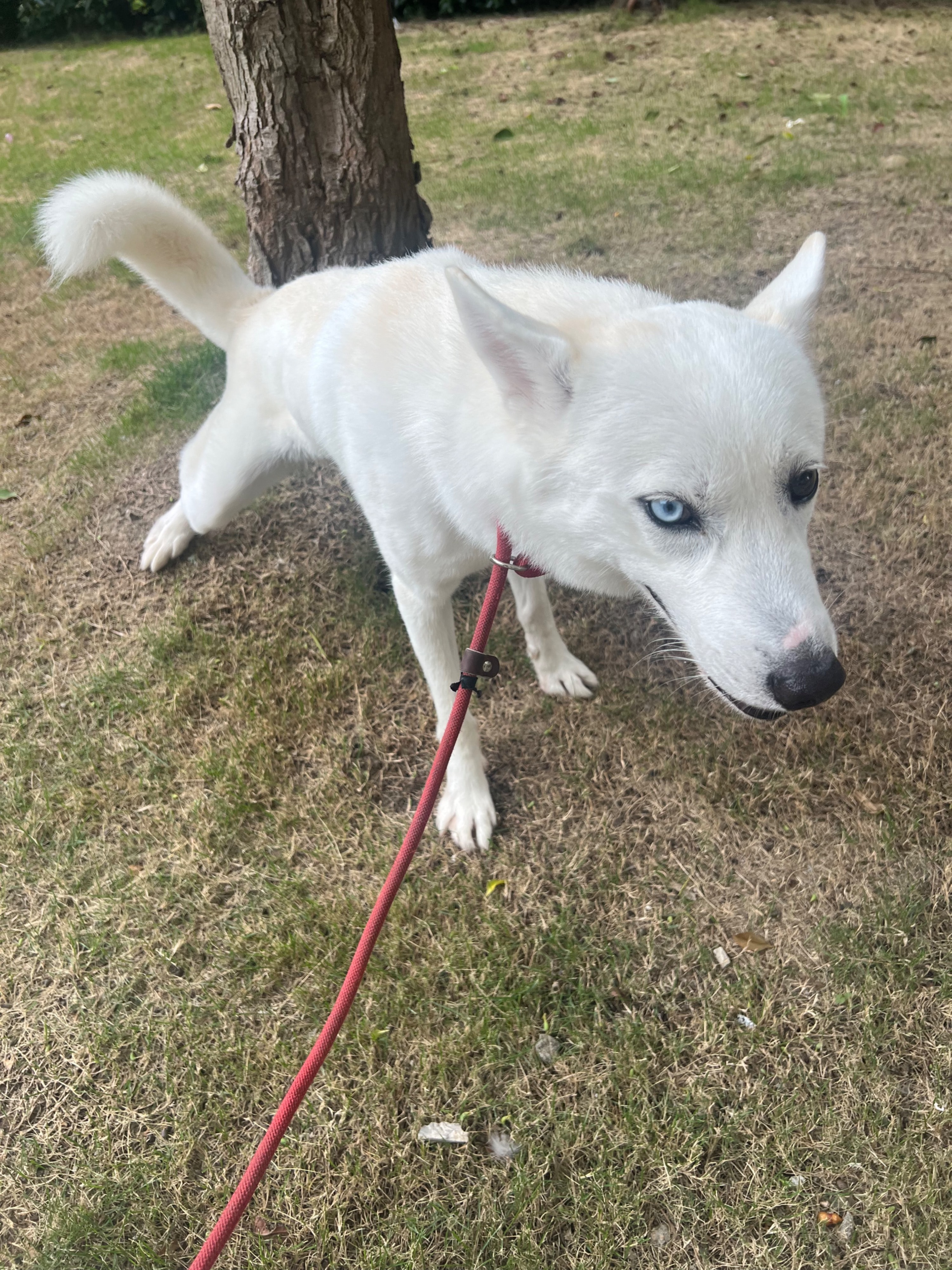 image-6