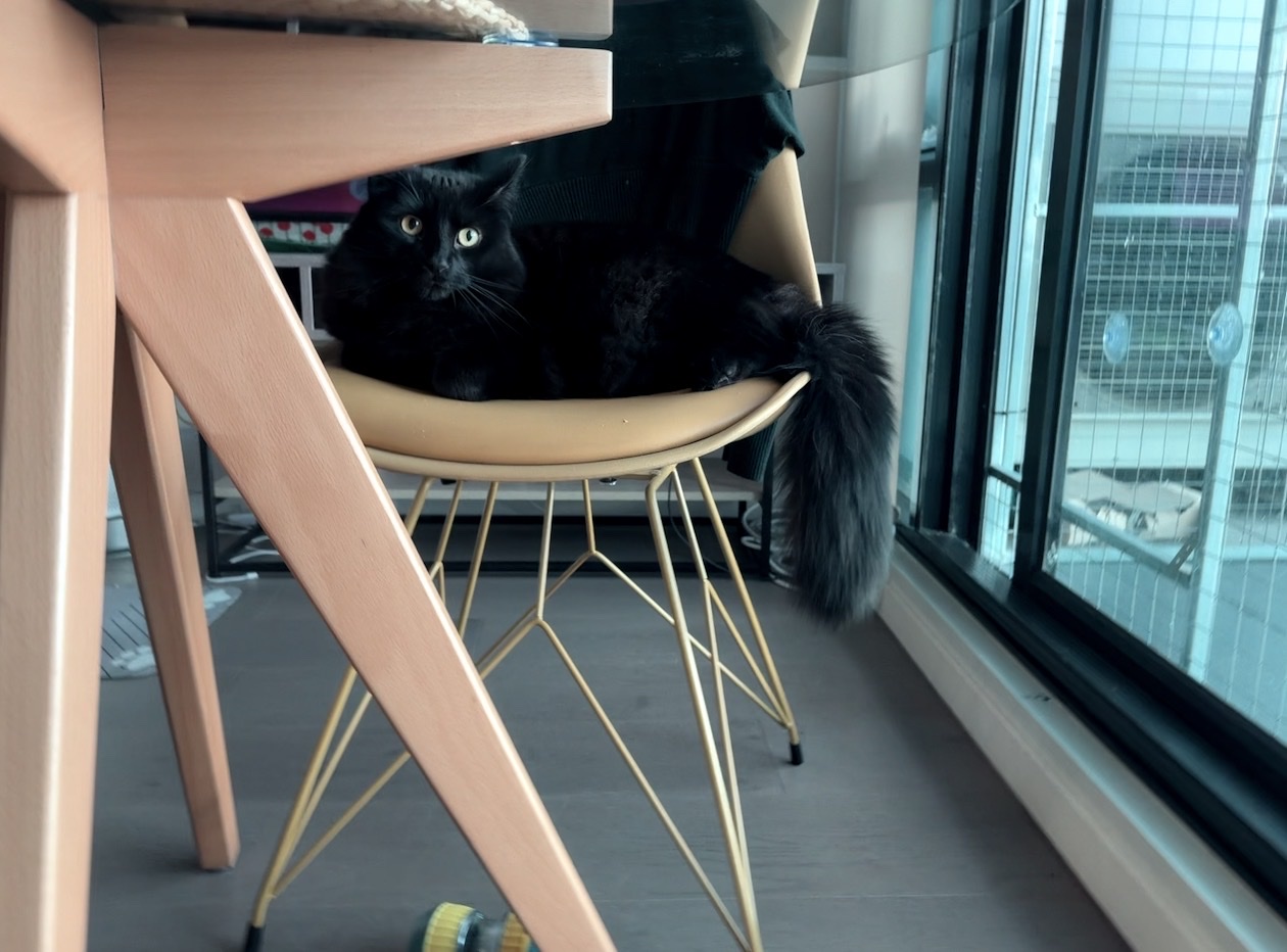 image-9