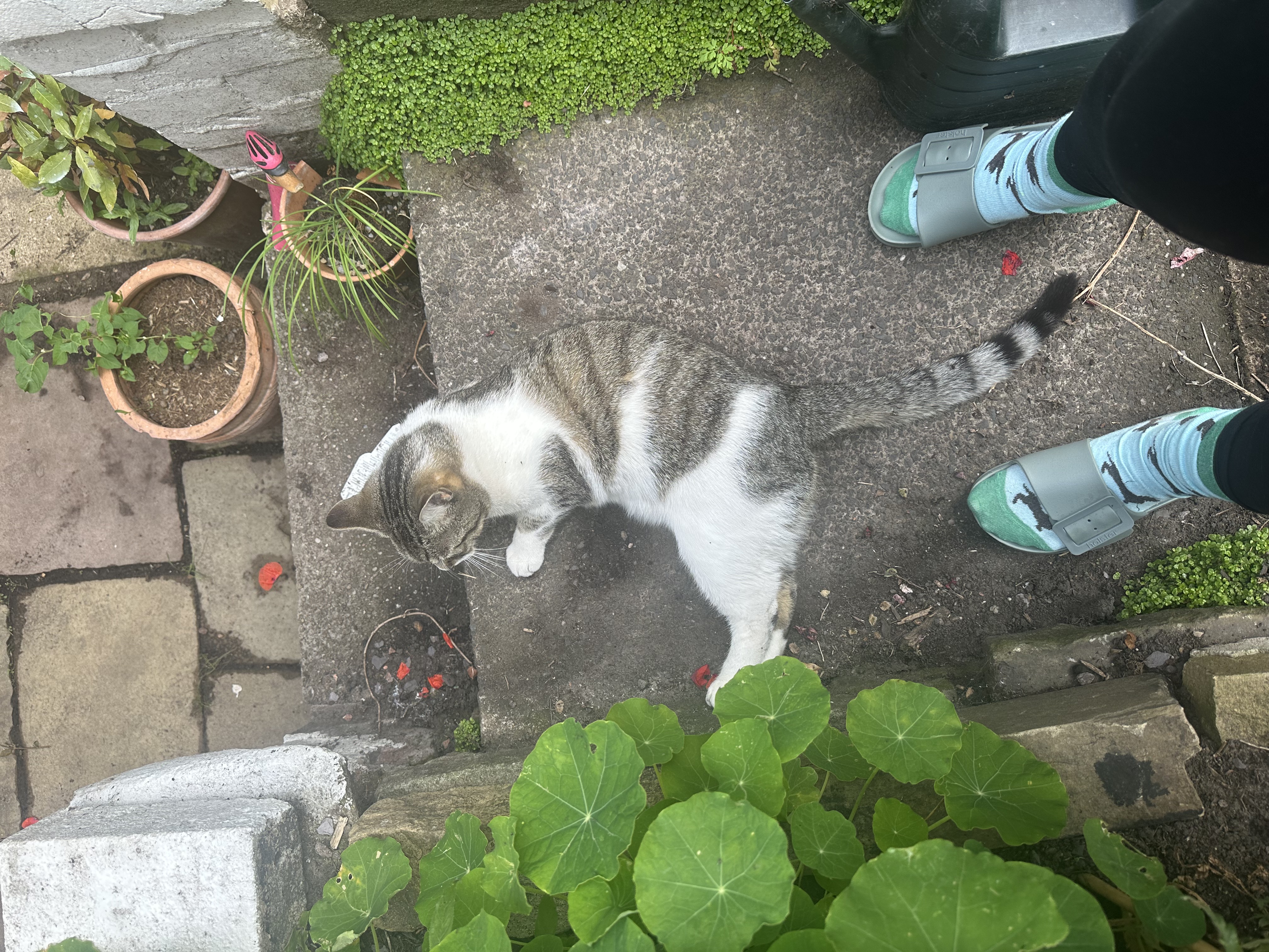 image-11