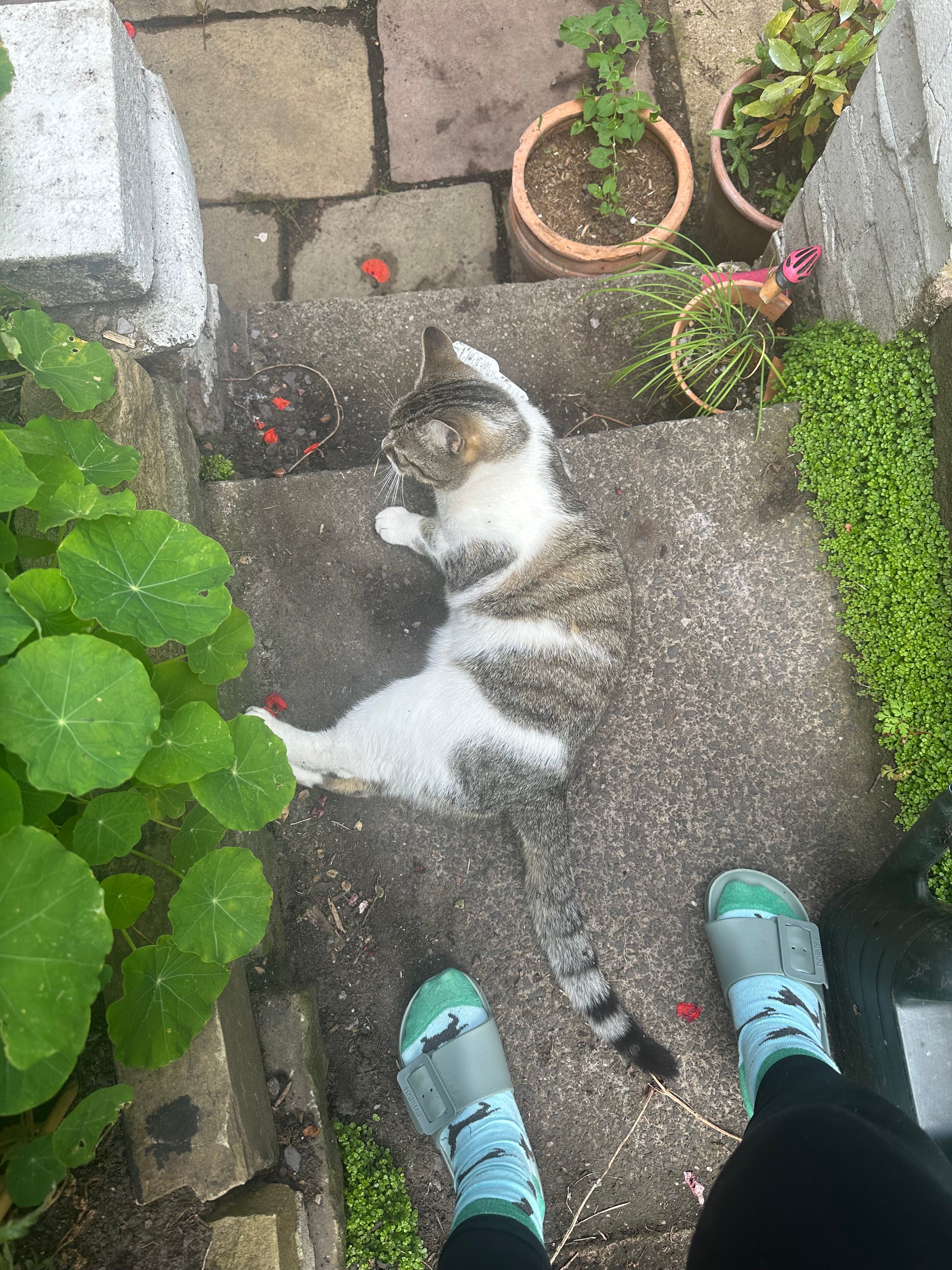 image-11