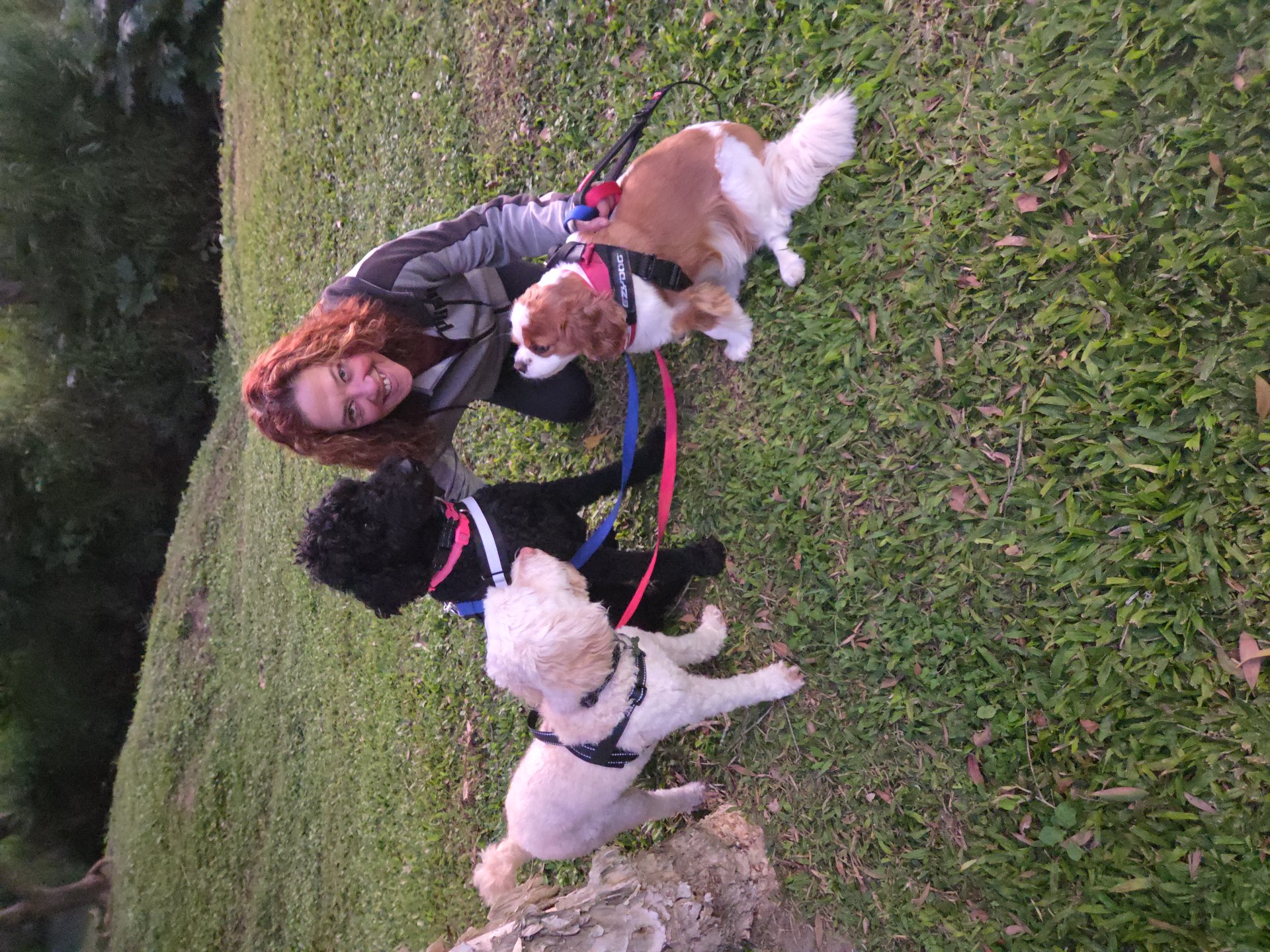 image-7