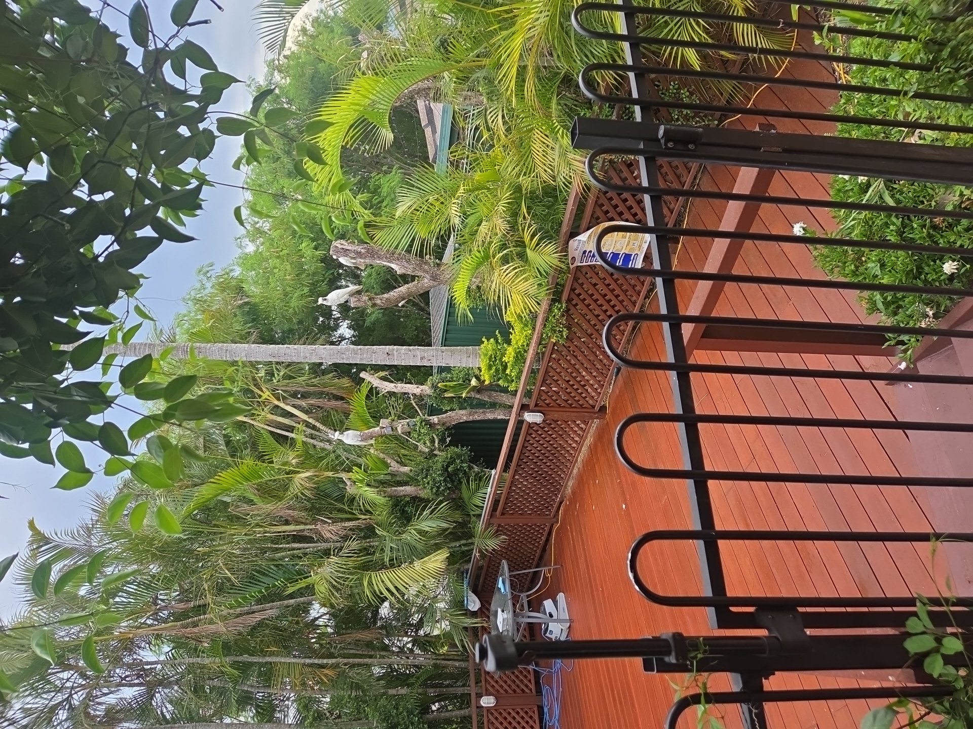 image-2