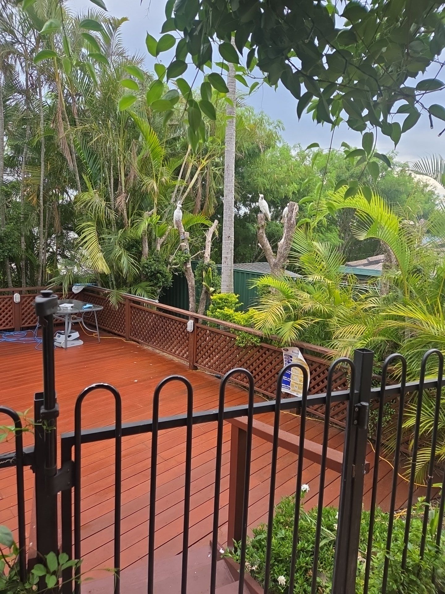 image-2