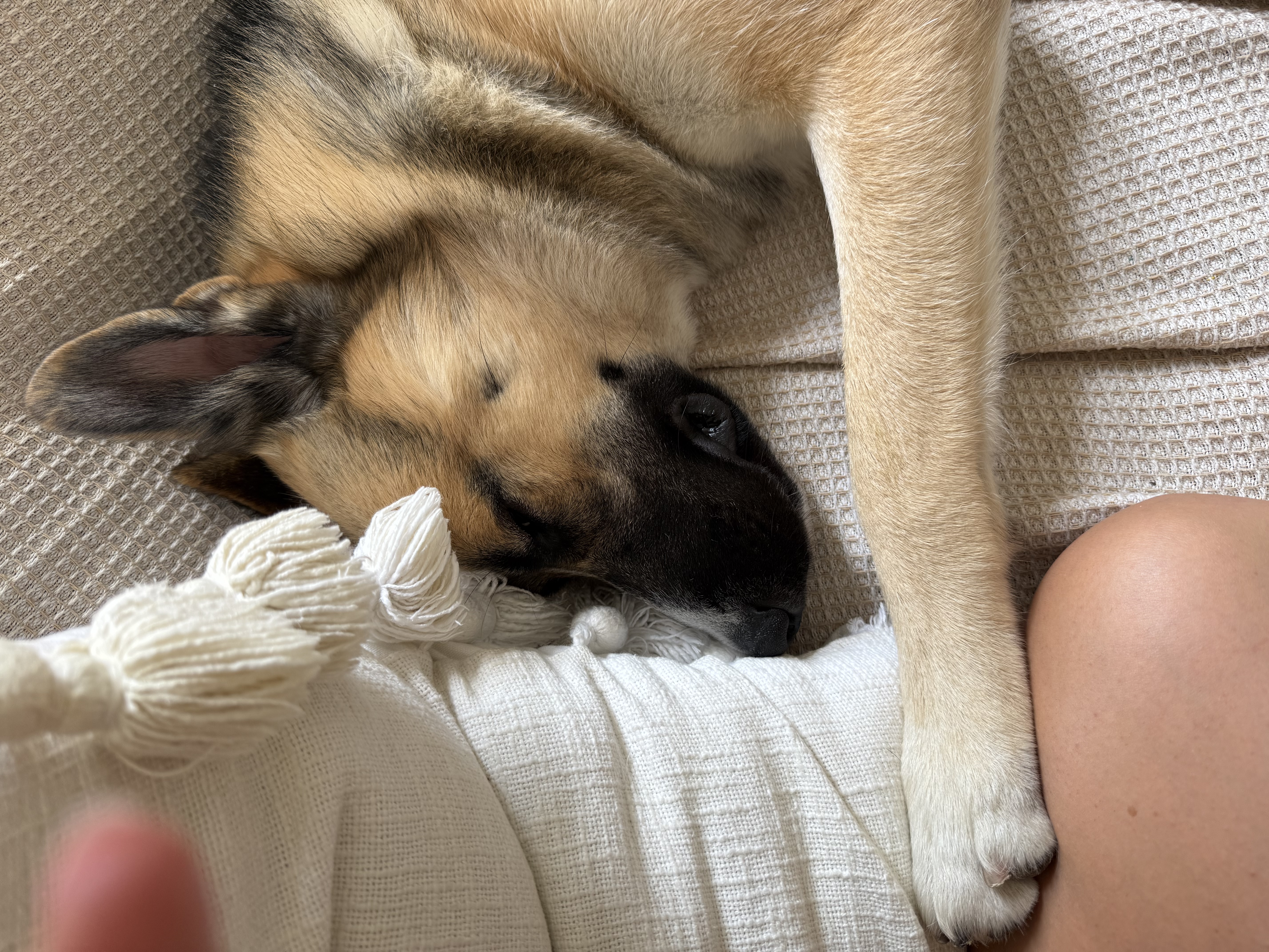 image-16