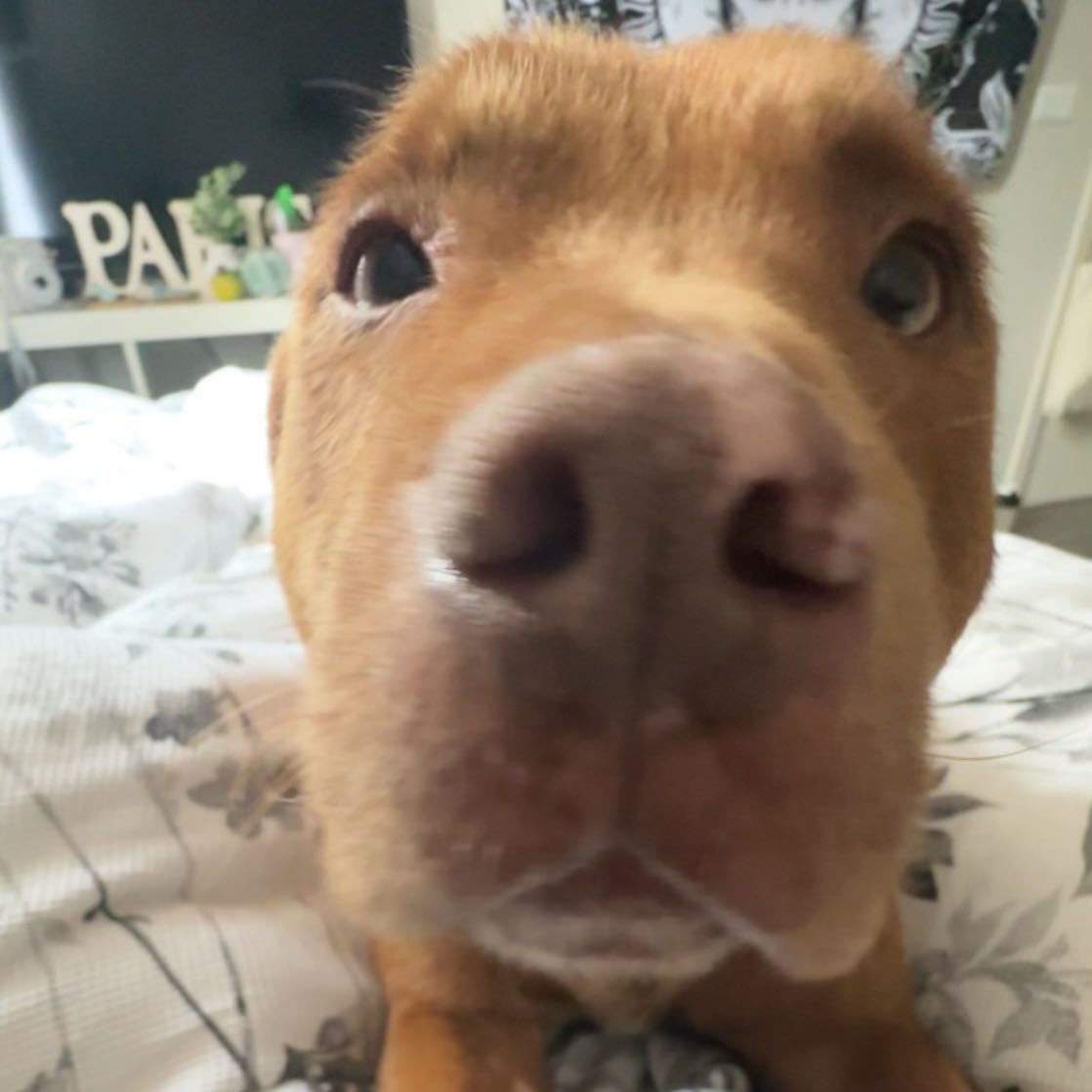 Charlie