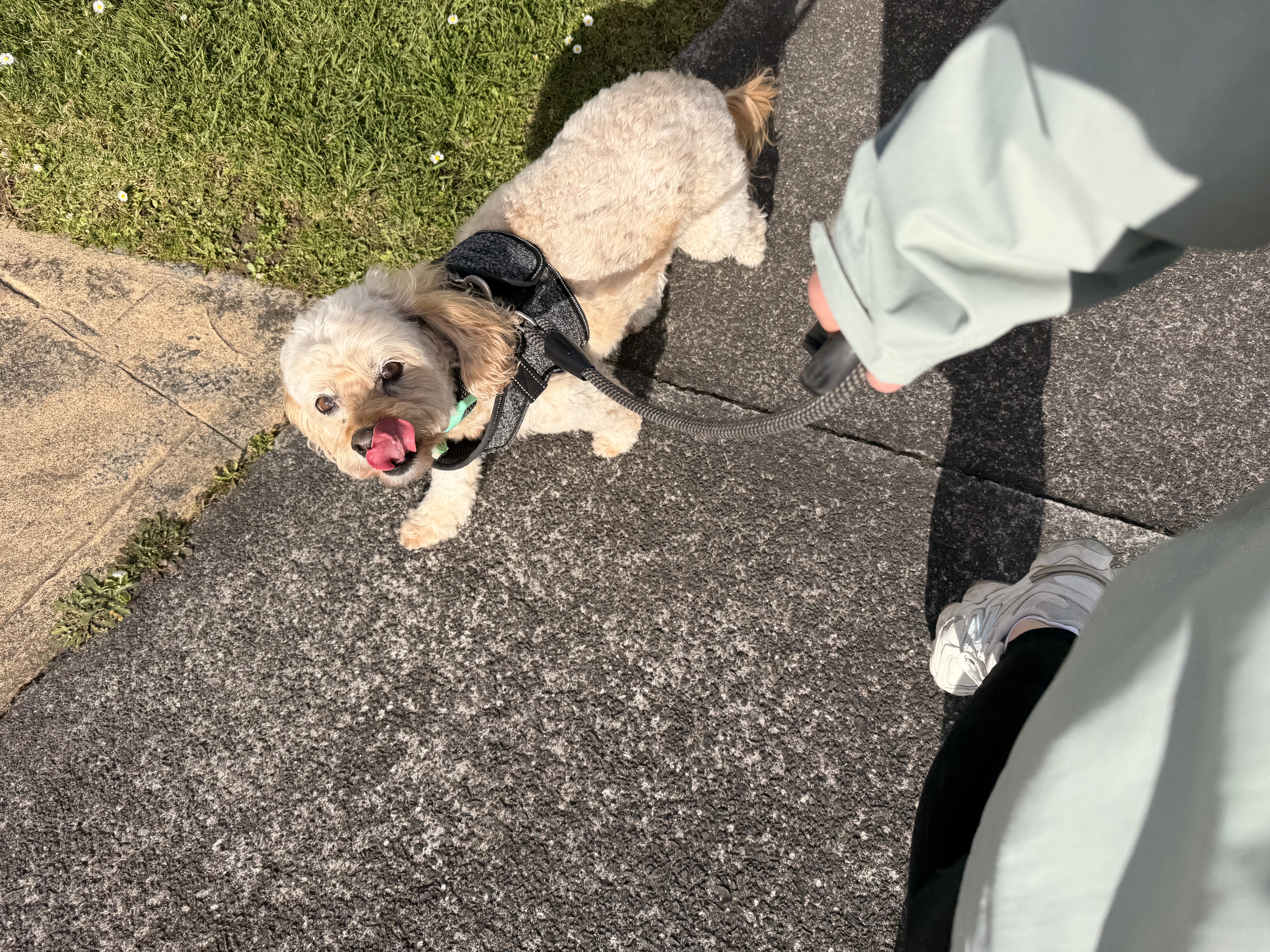 image-4