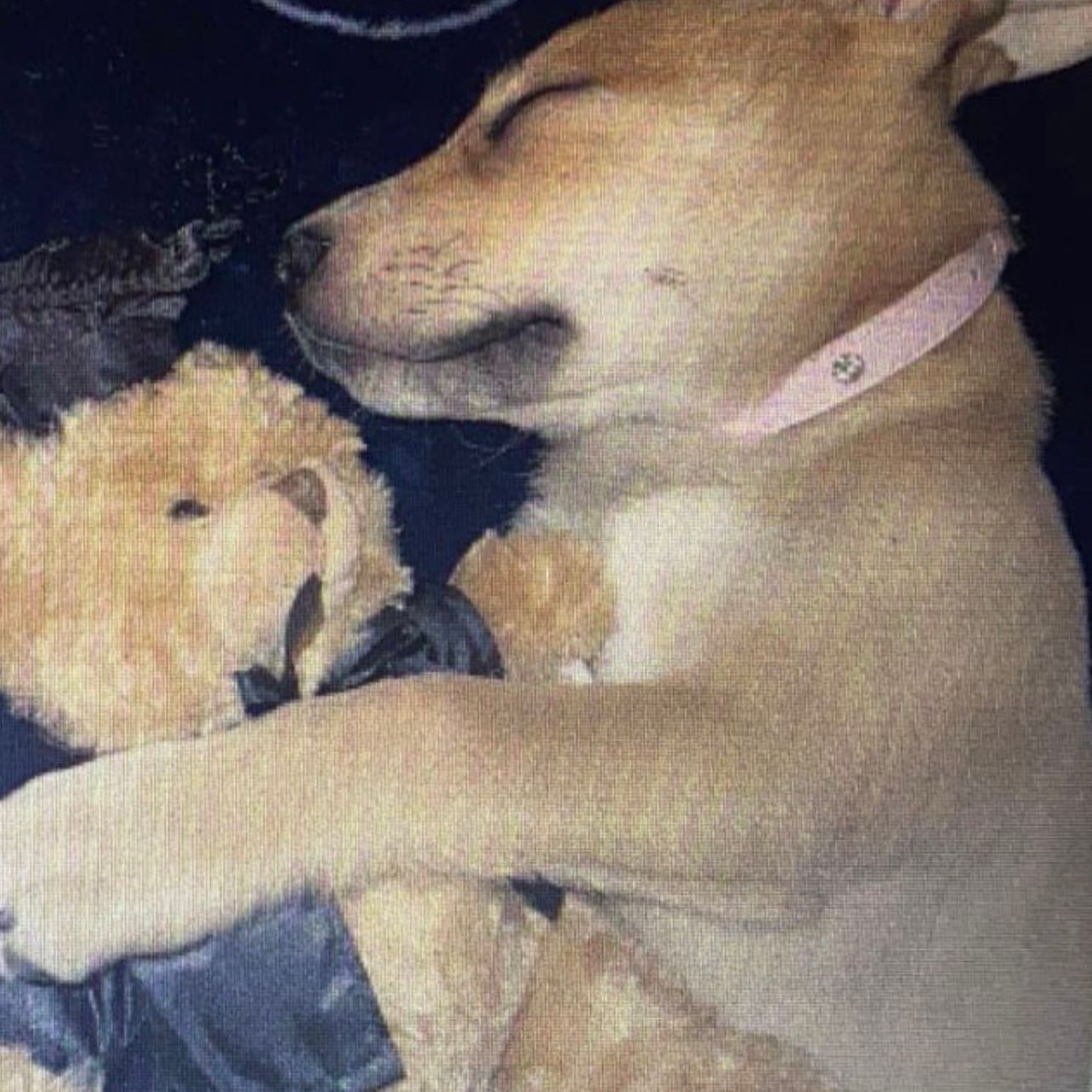 Lilo