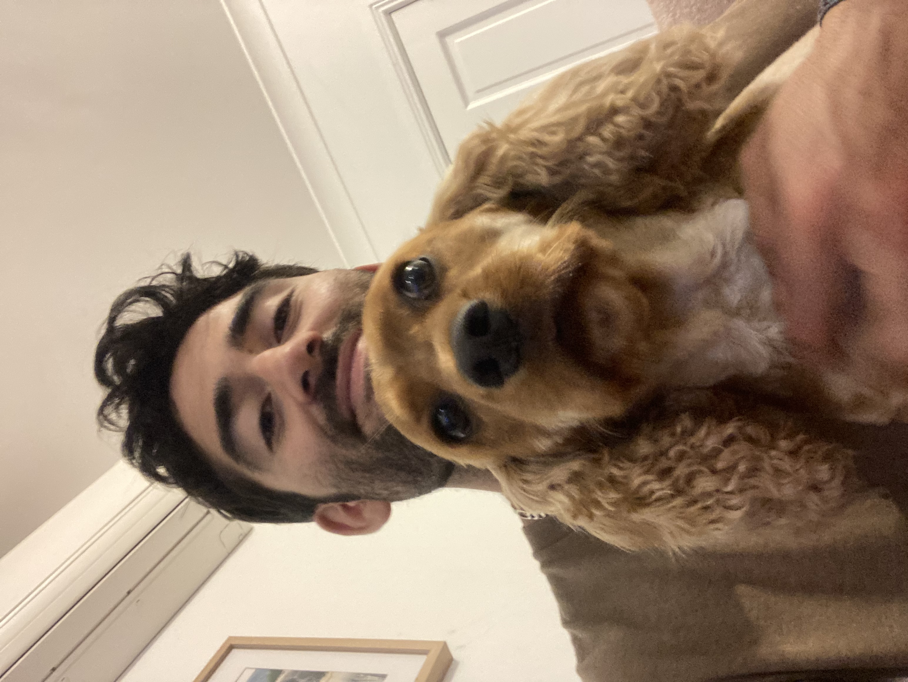 image-8