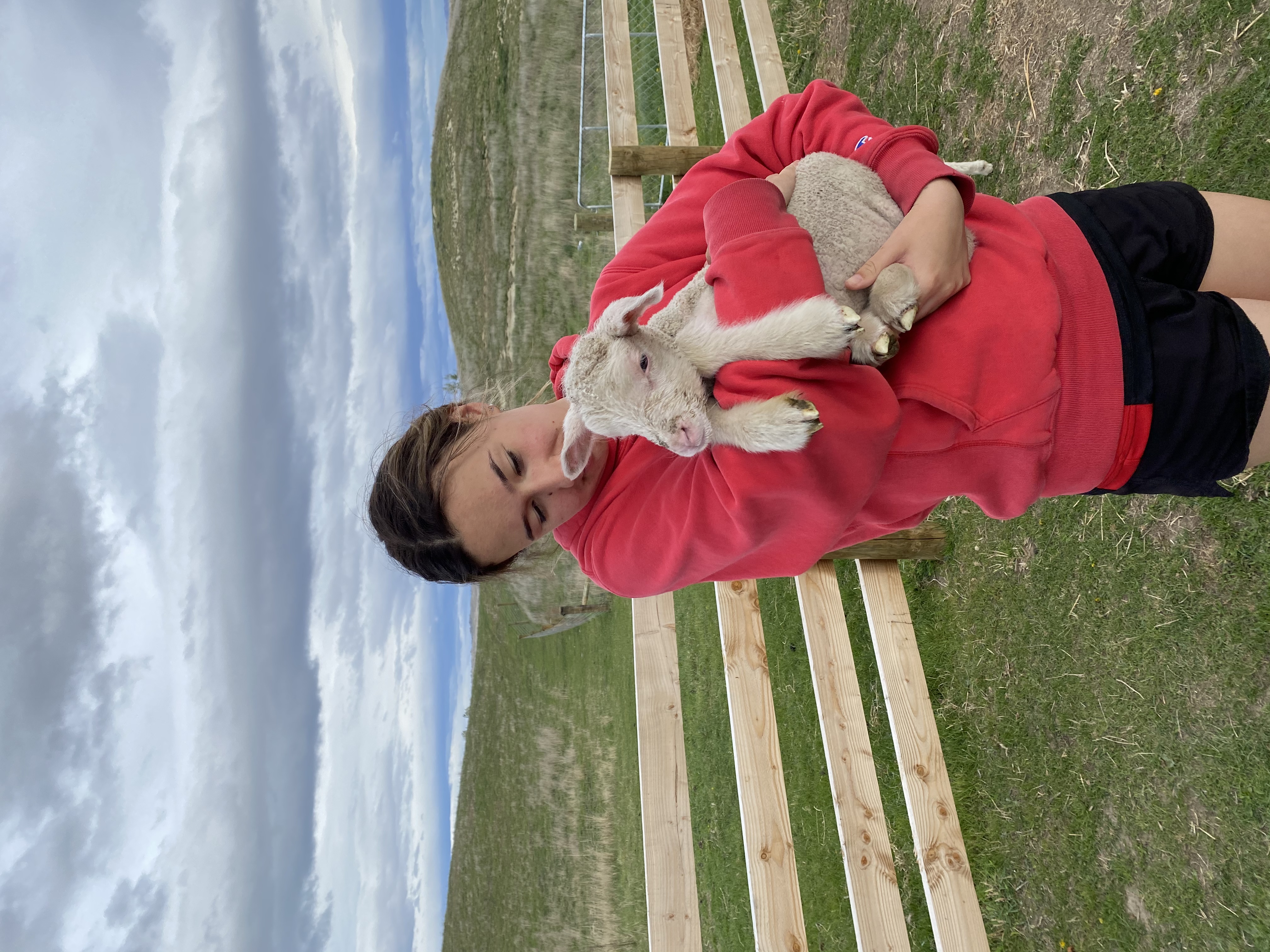image-8