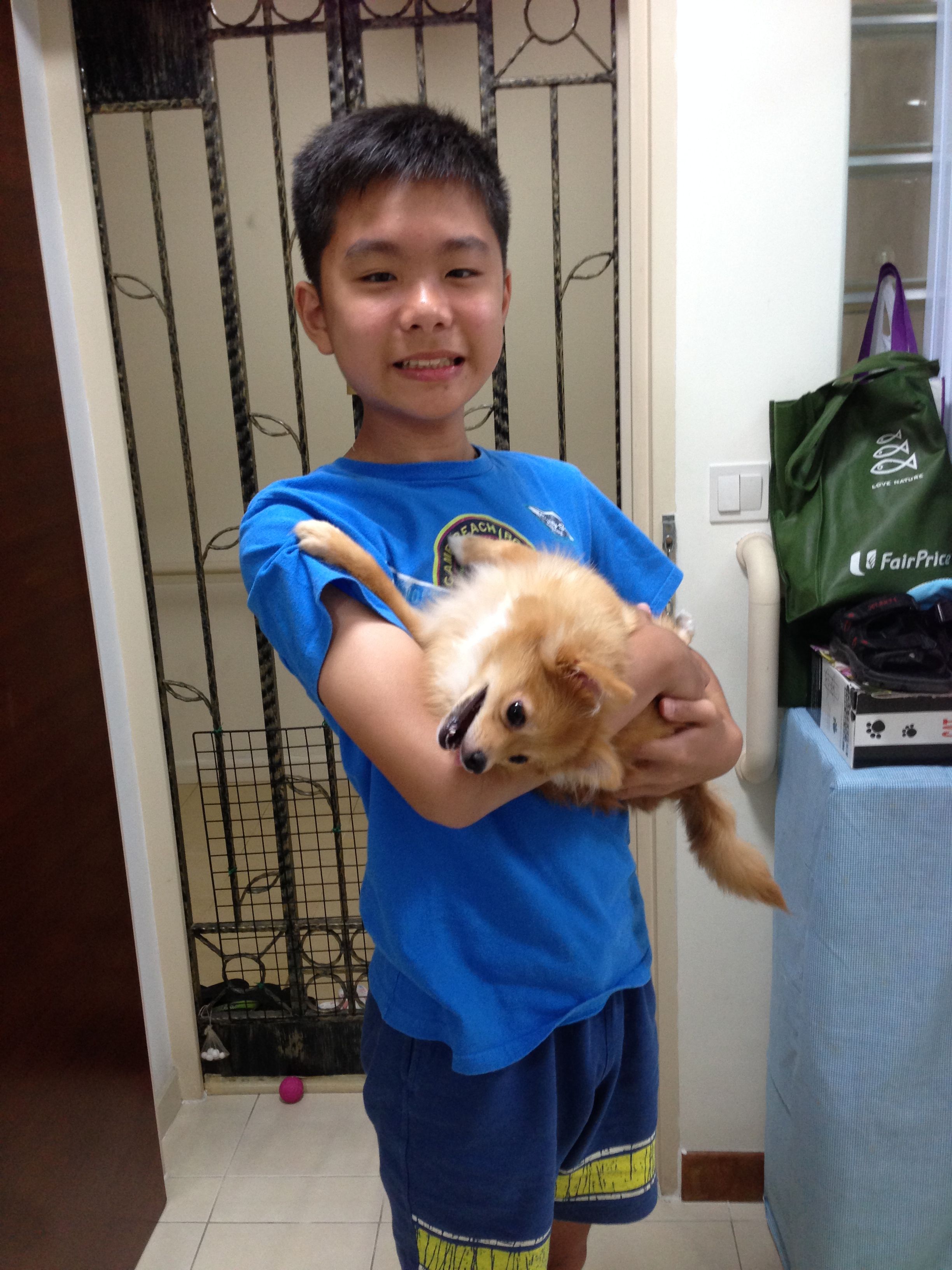 image-5