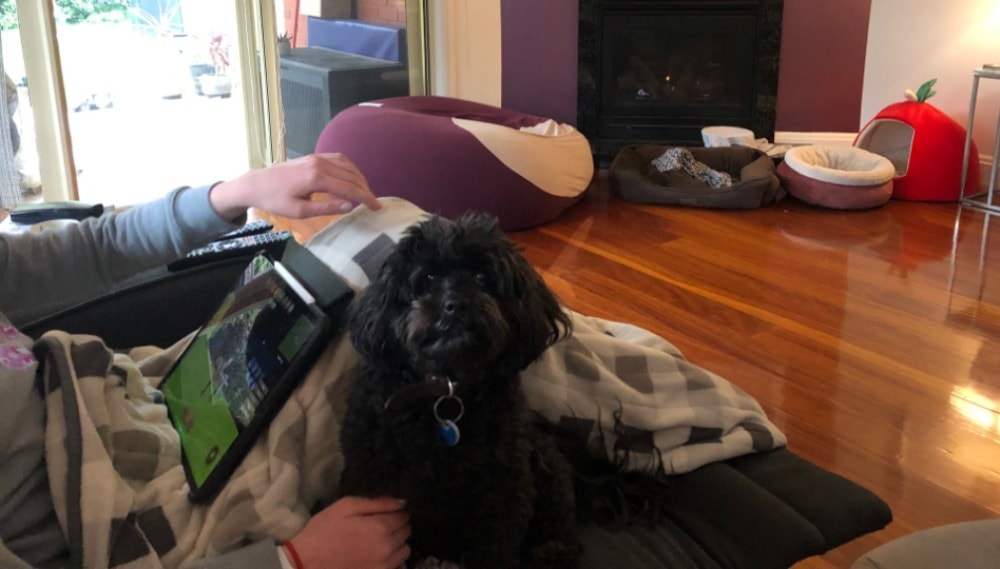 image-10