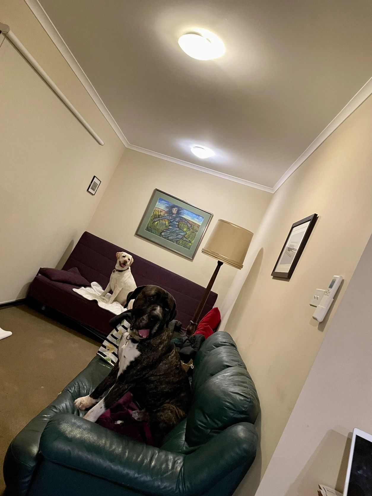 image-7
