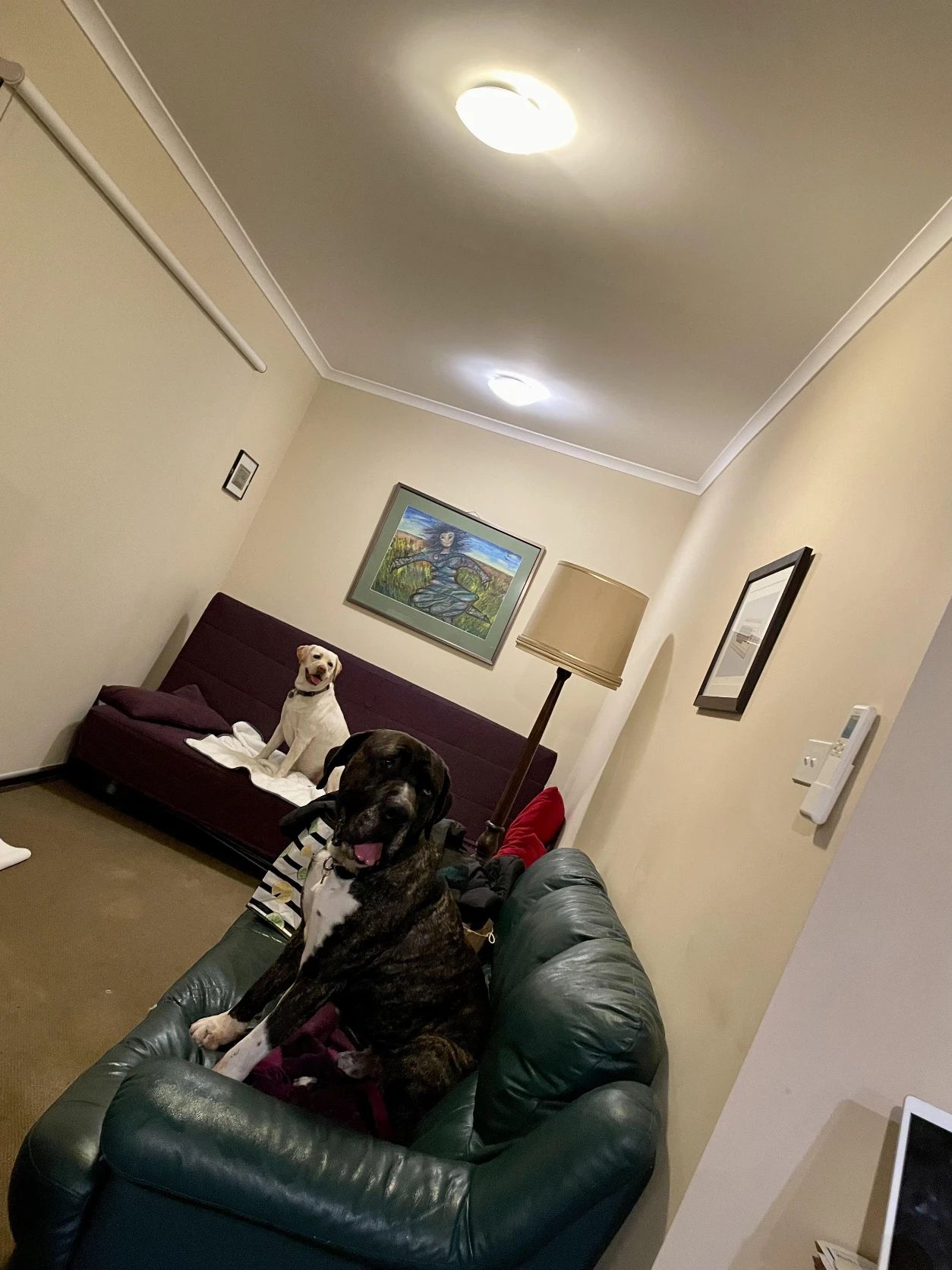 image-7