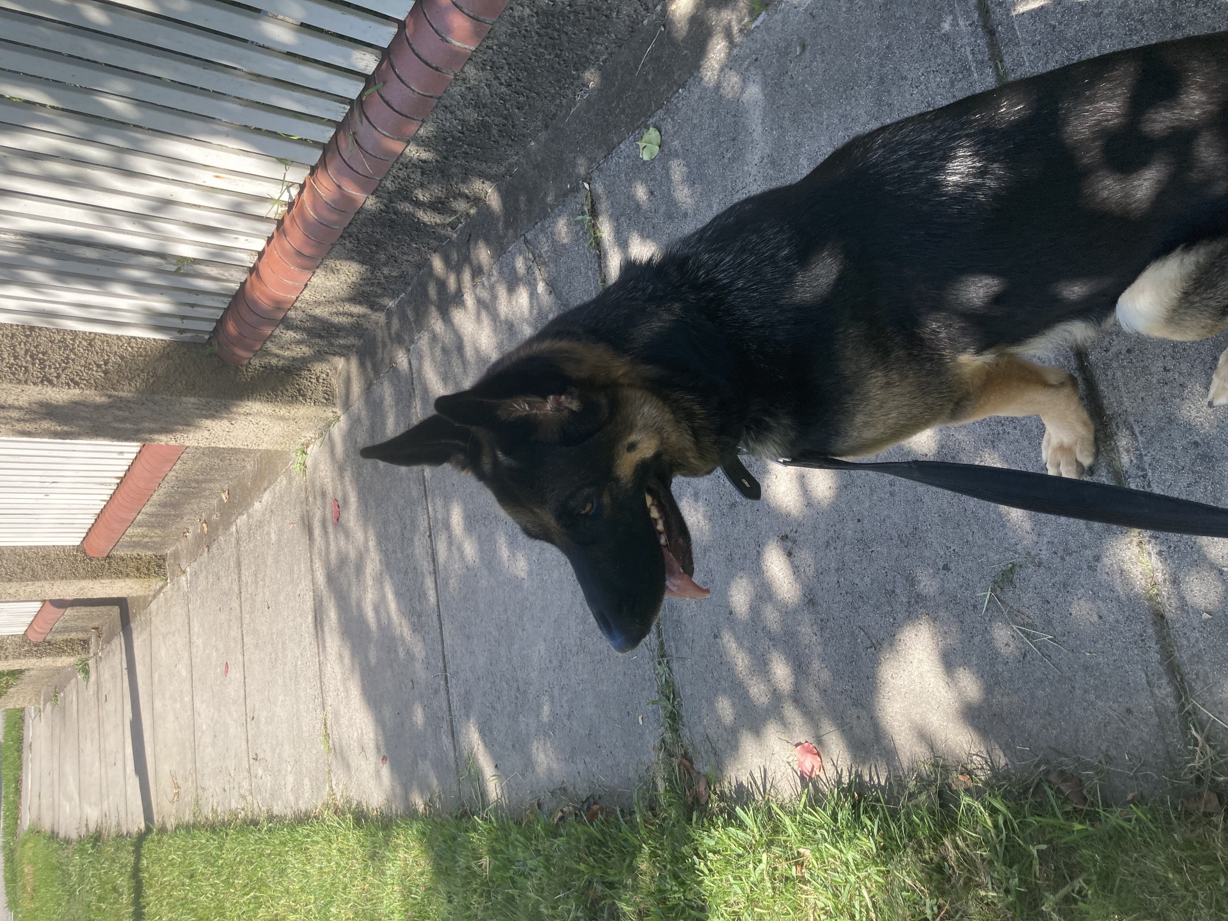 image-6