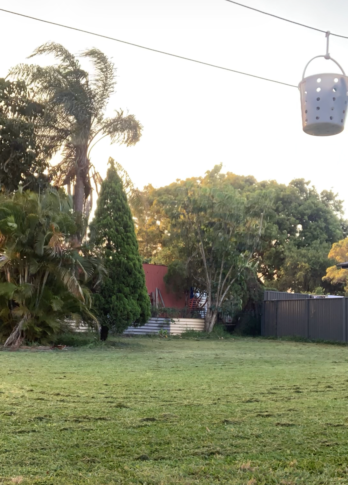 image-18