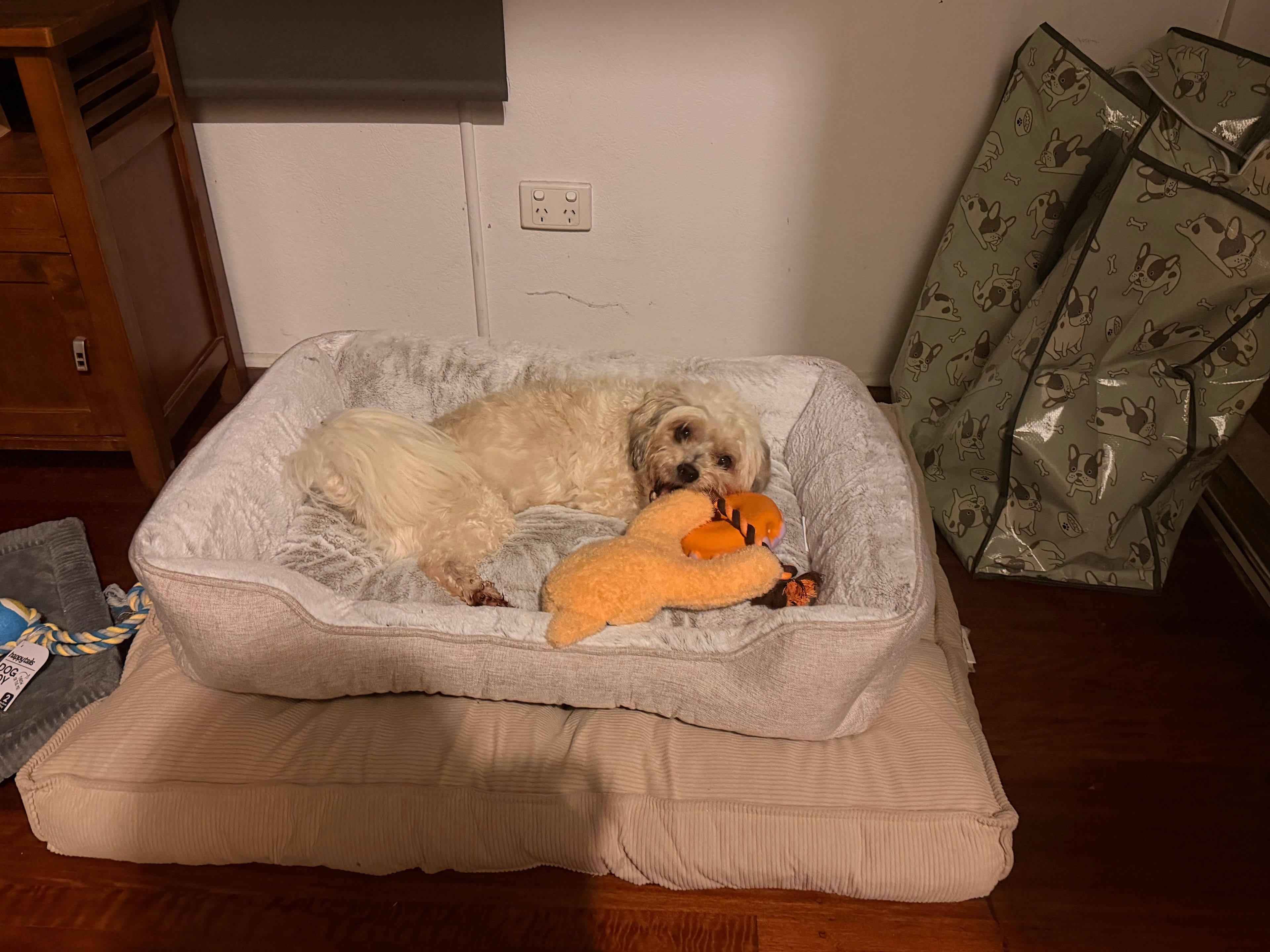 image-10